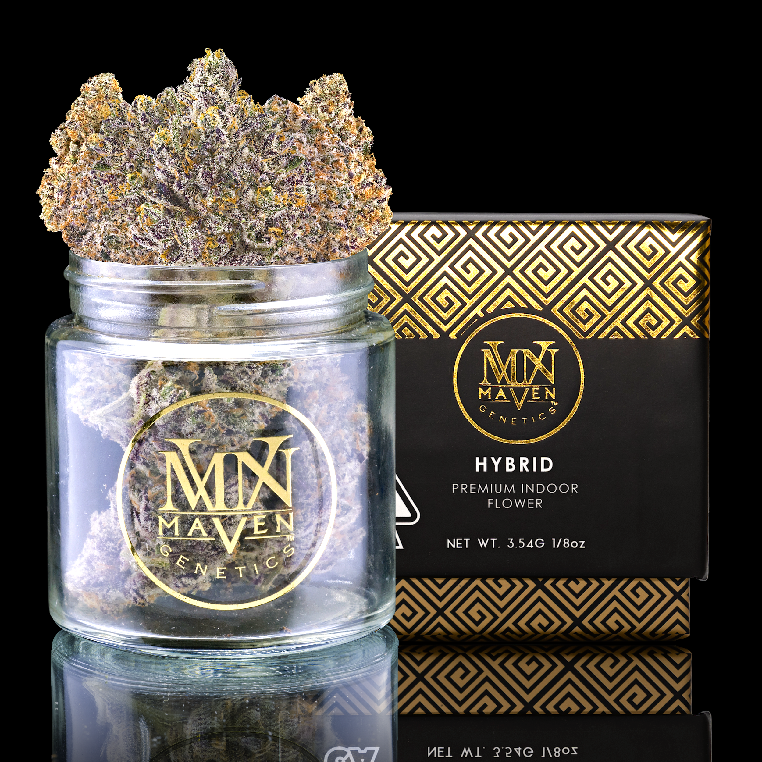 GOLDEN APPLEZ JAR PROJECT 2024 (1).png