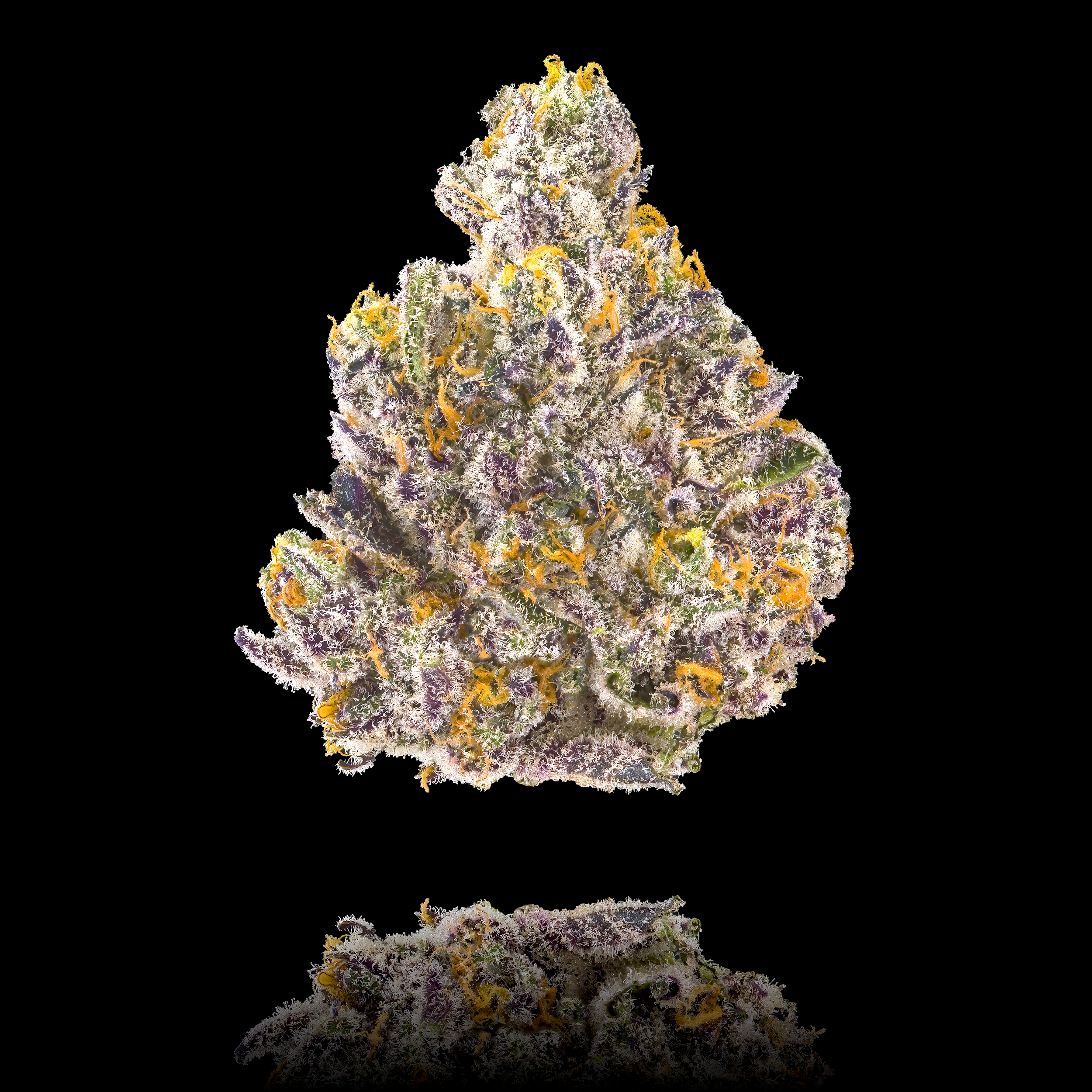 GOLDEN_APPLEZ_FULL_NUG_HI_RES_REFLECT_BLACK_SQUARE (1).png