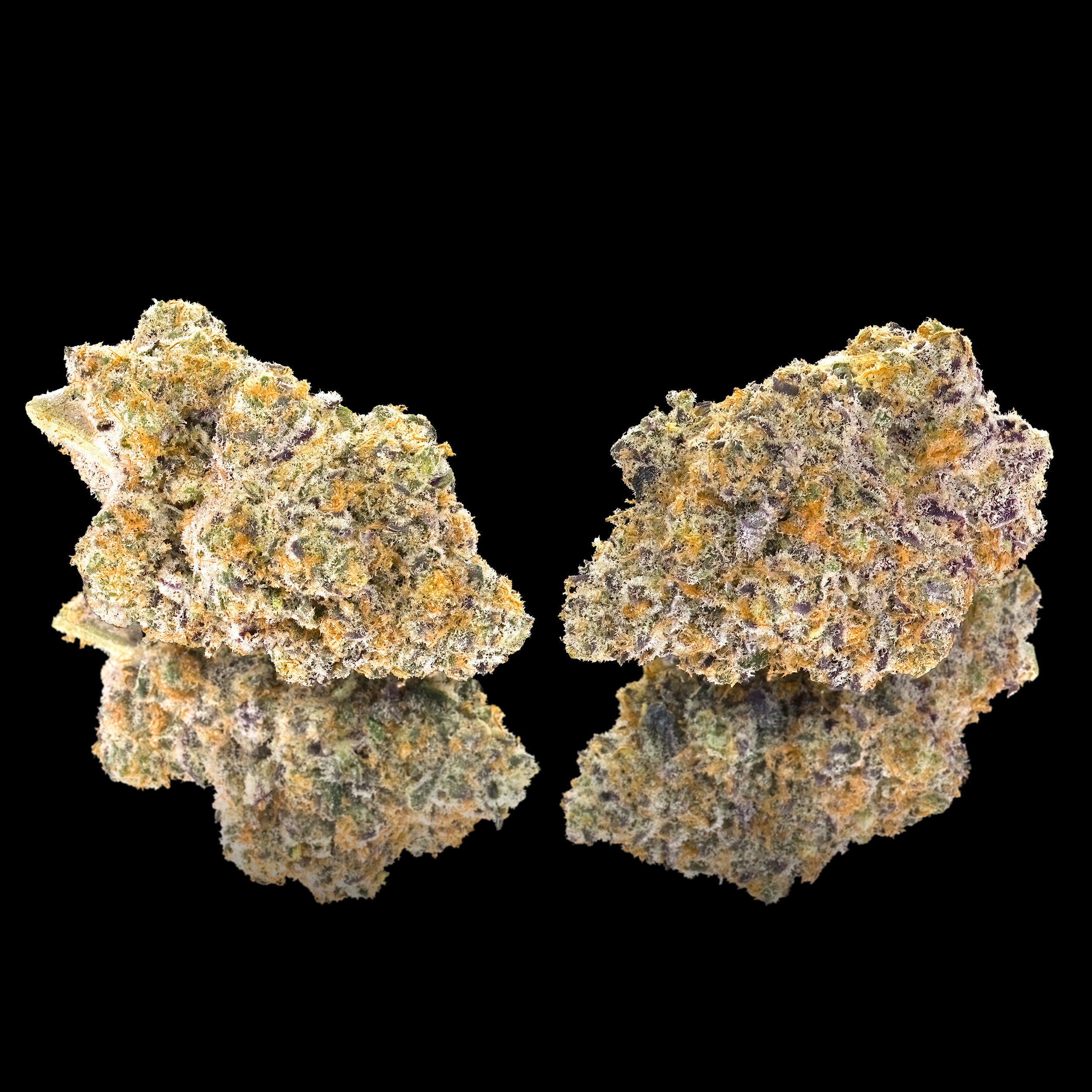 GOLDEN APPLEZ DOUBLE NUGS BLACK SQUARE 2024 (1).png