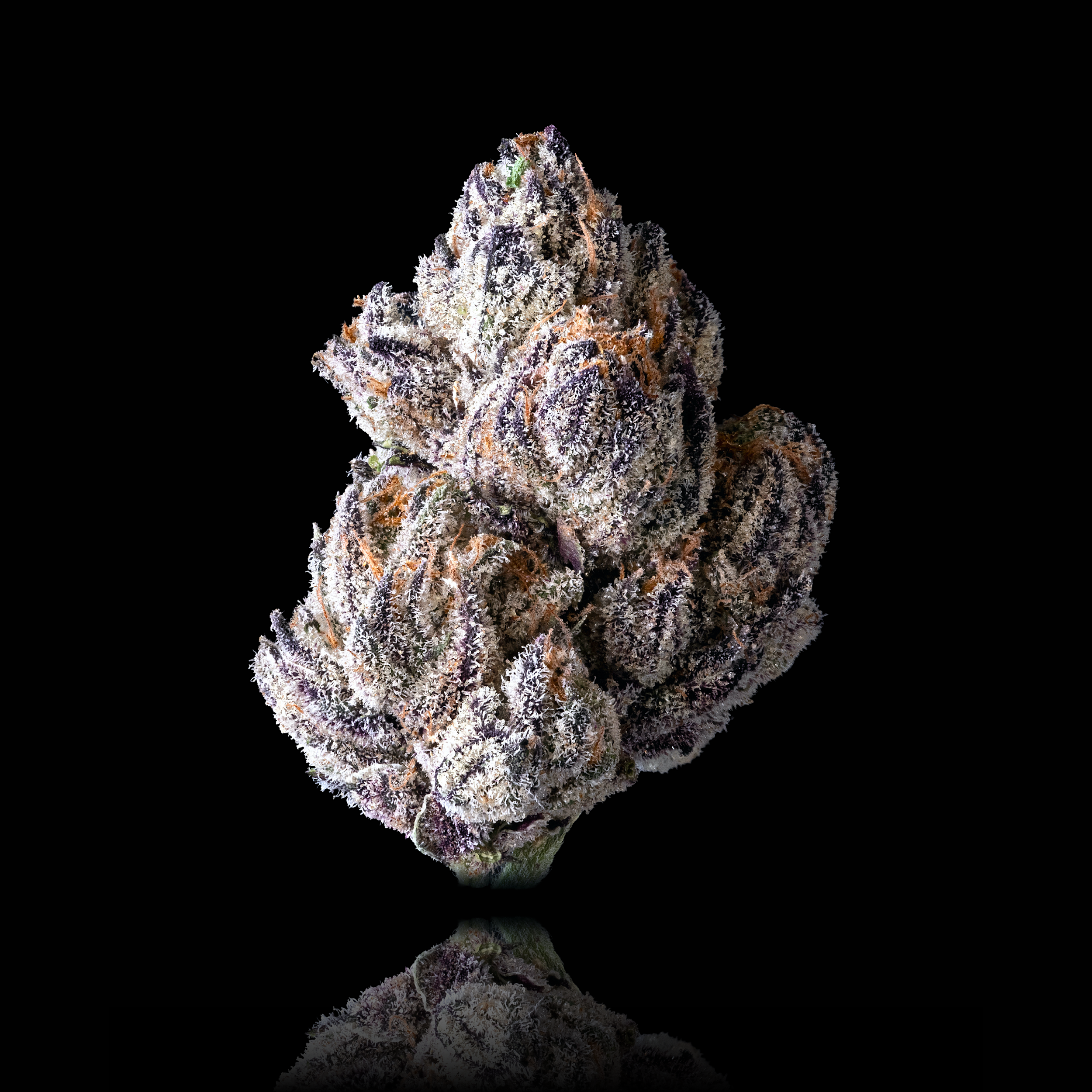 Lipsmackerz harvested flower, as labeled by the cited photo source