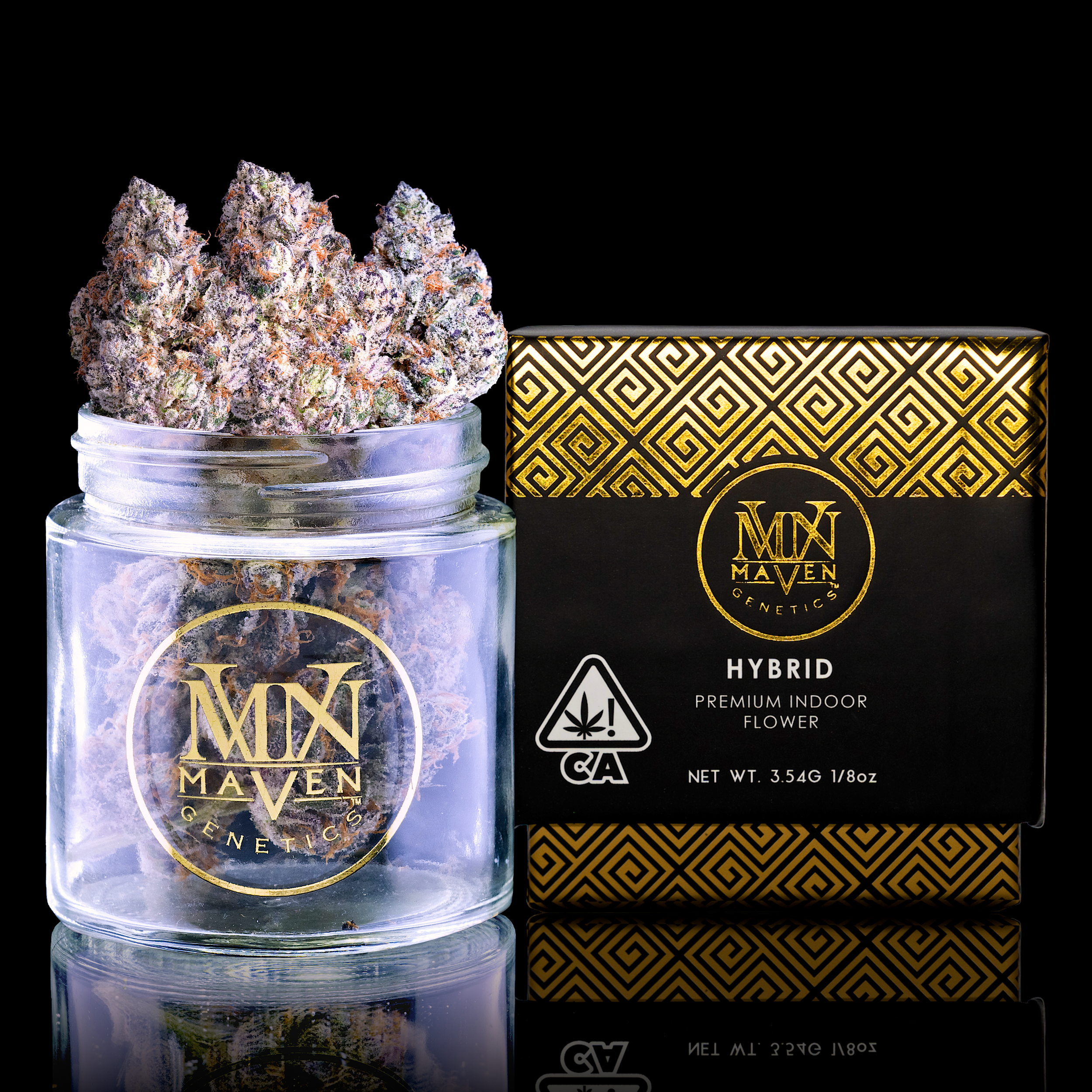 SHANGRI-LA REGULAR SERIES JAR SHOT BLACK 12_5_24.png