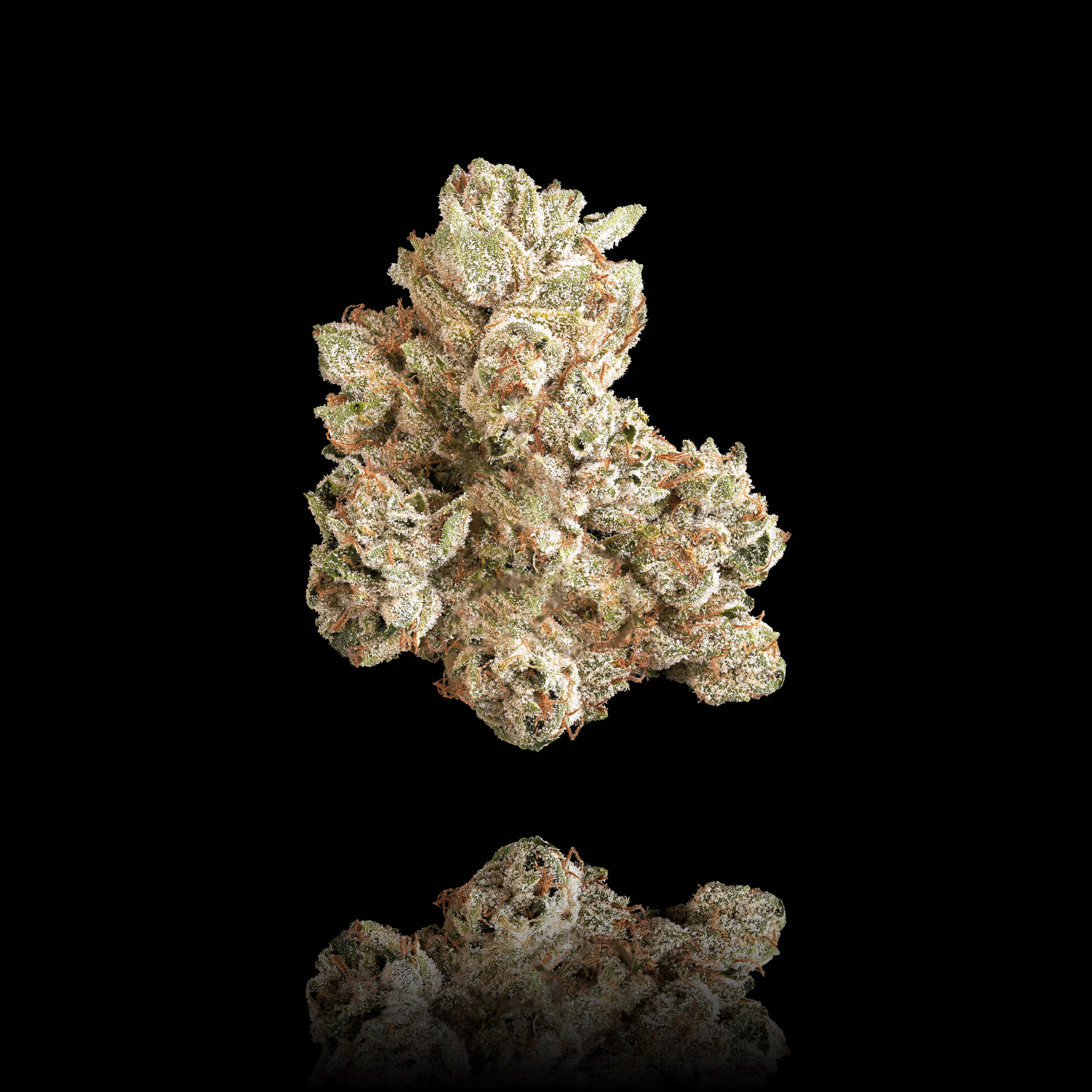 XXX_OG_FULL_NUG_BLACK_REFLECTED_FULL_SIZE_2023.png