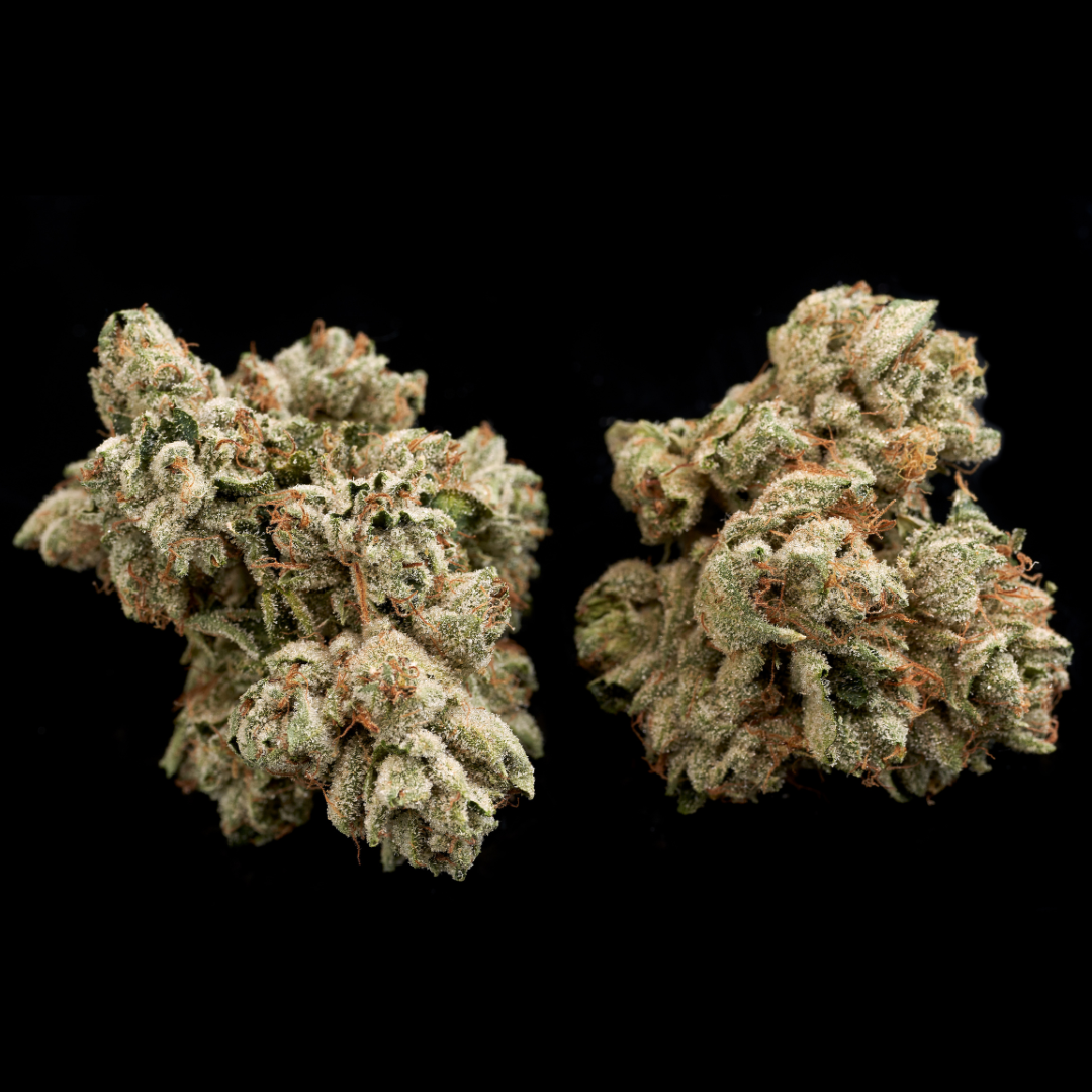 Untitled design (84).png