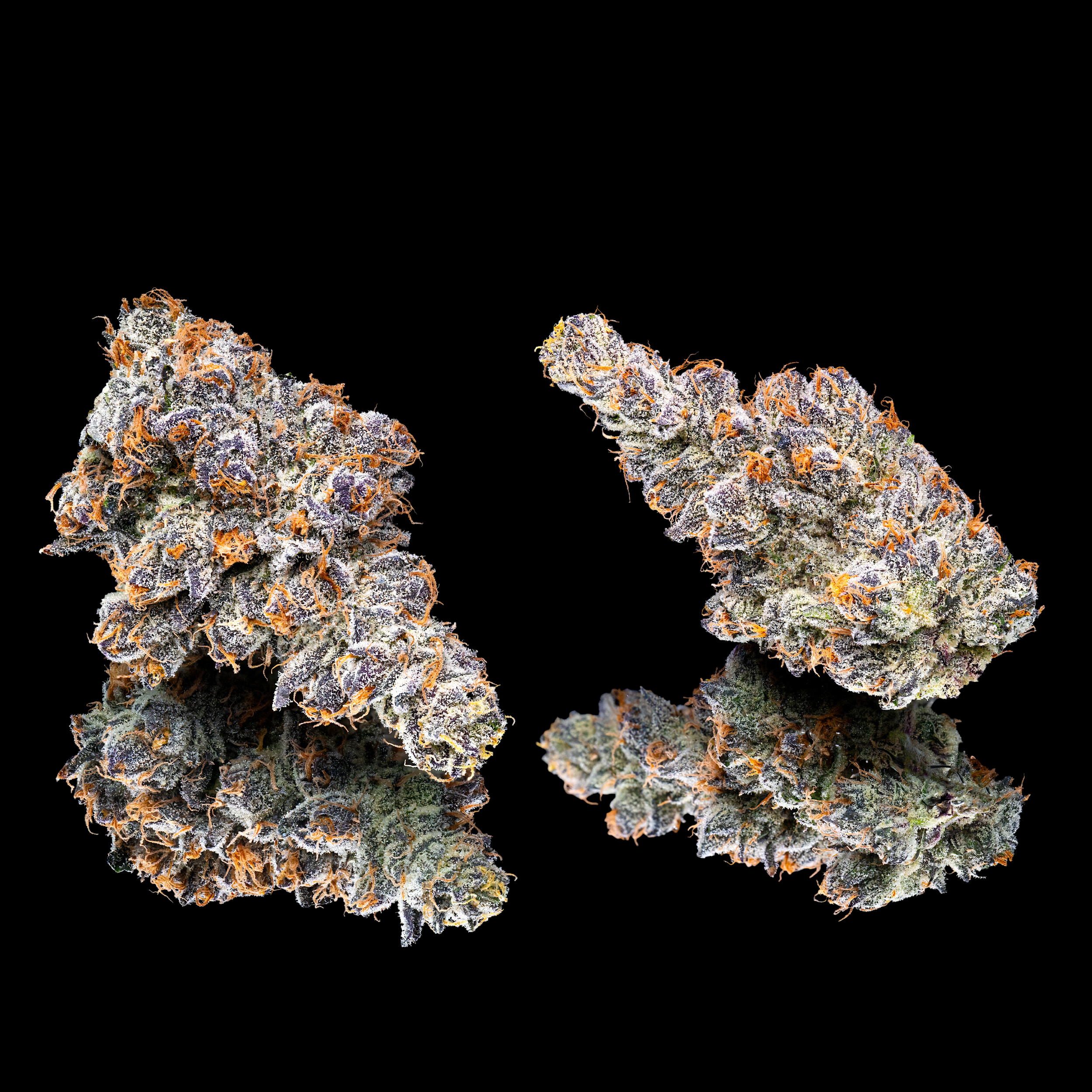 ORANGE SAPPHIRE DOUBLE NUGS BLACK SQUARE #2 (1).png
