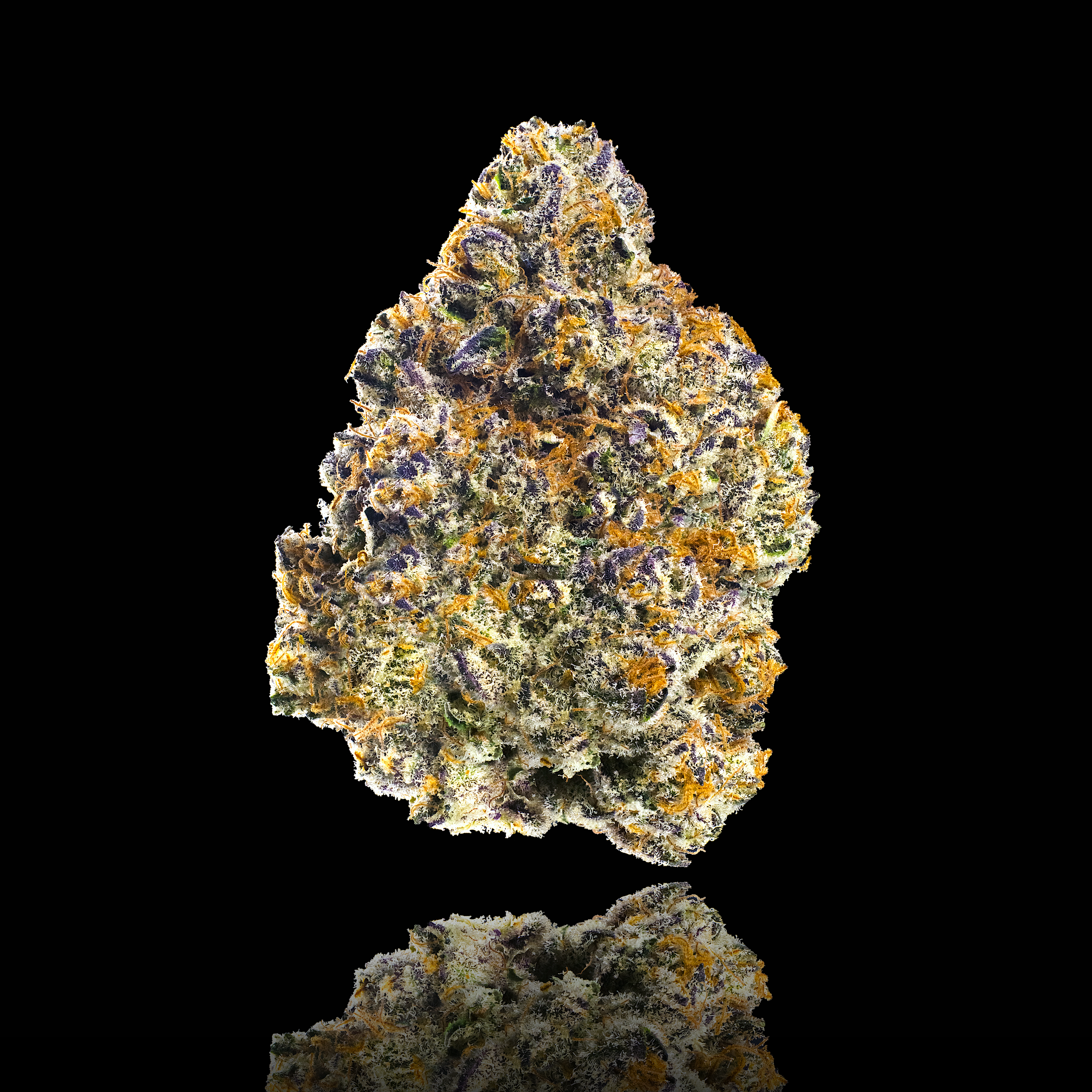 SOUR SANGRIA FULL NUG SQUARE REDUX 2025.png