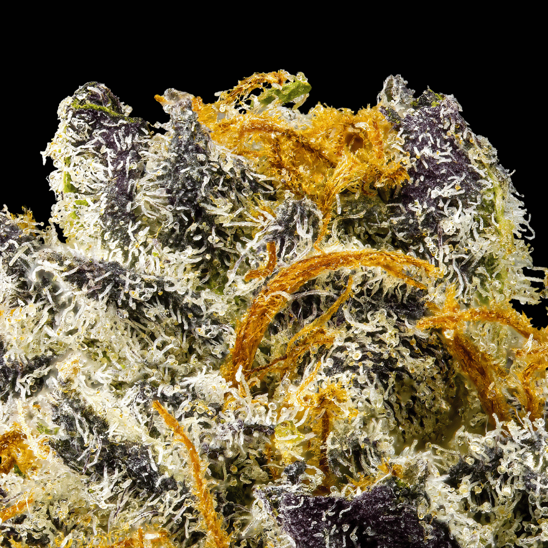 Untitled design (91).png