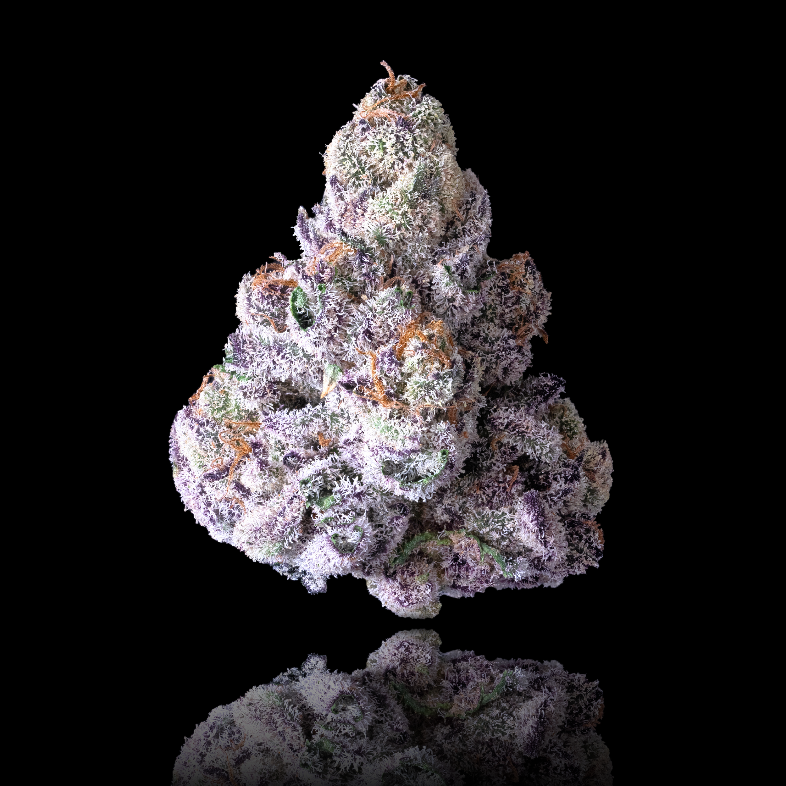 98 RESERVE FULL NUG BLACK SQUARE.png