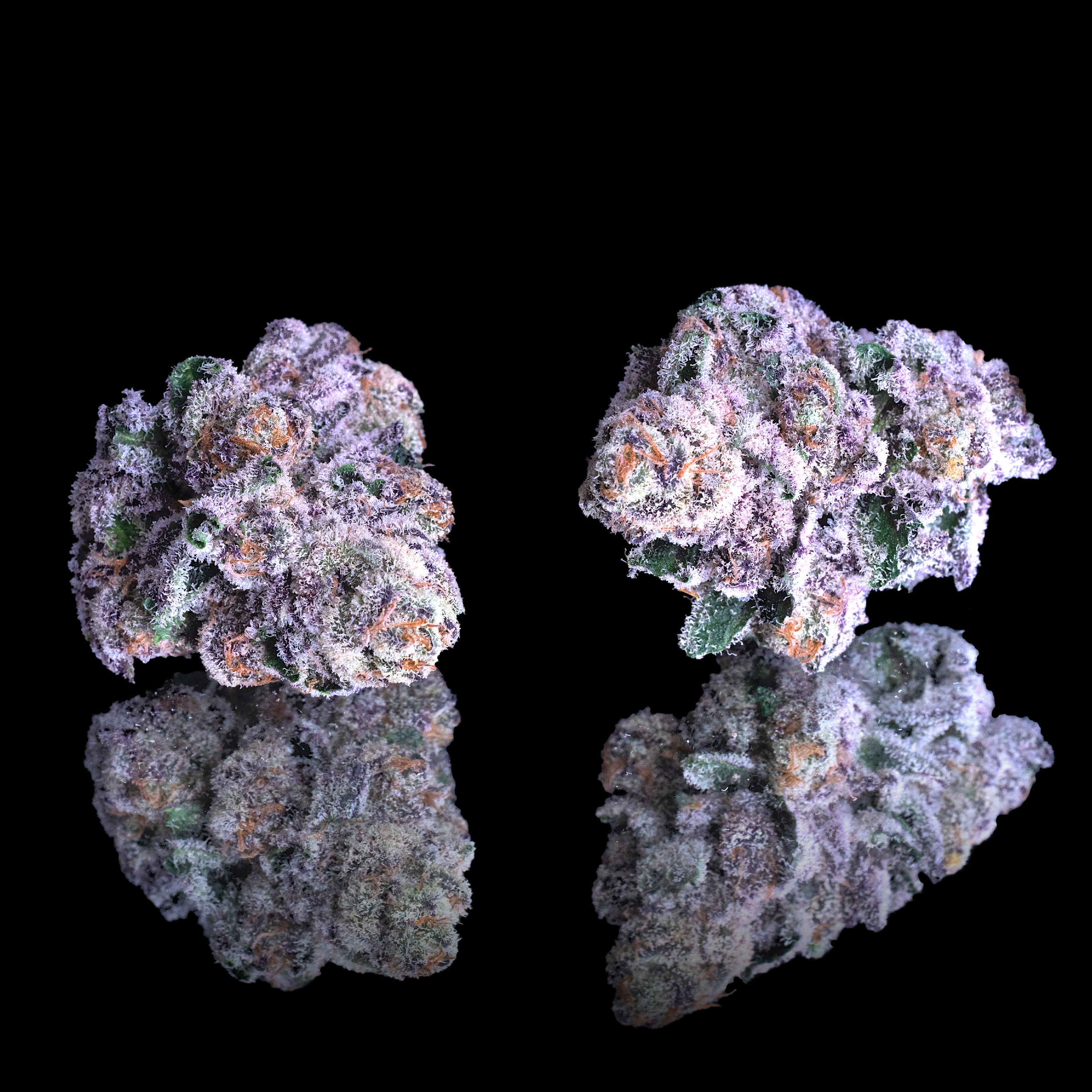 98 RESERVE DOUBLE NUGS BLACK SQUARE.png