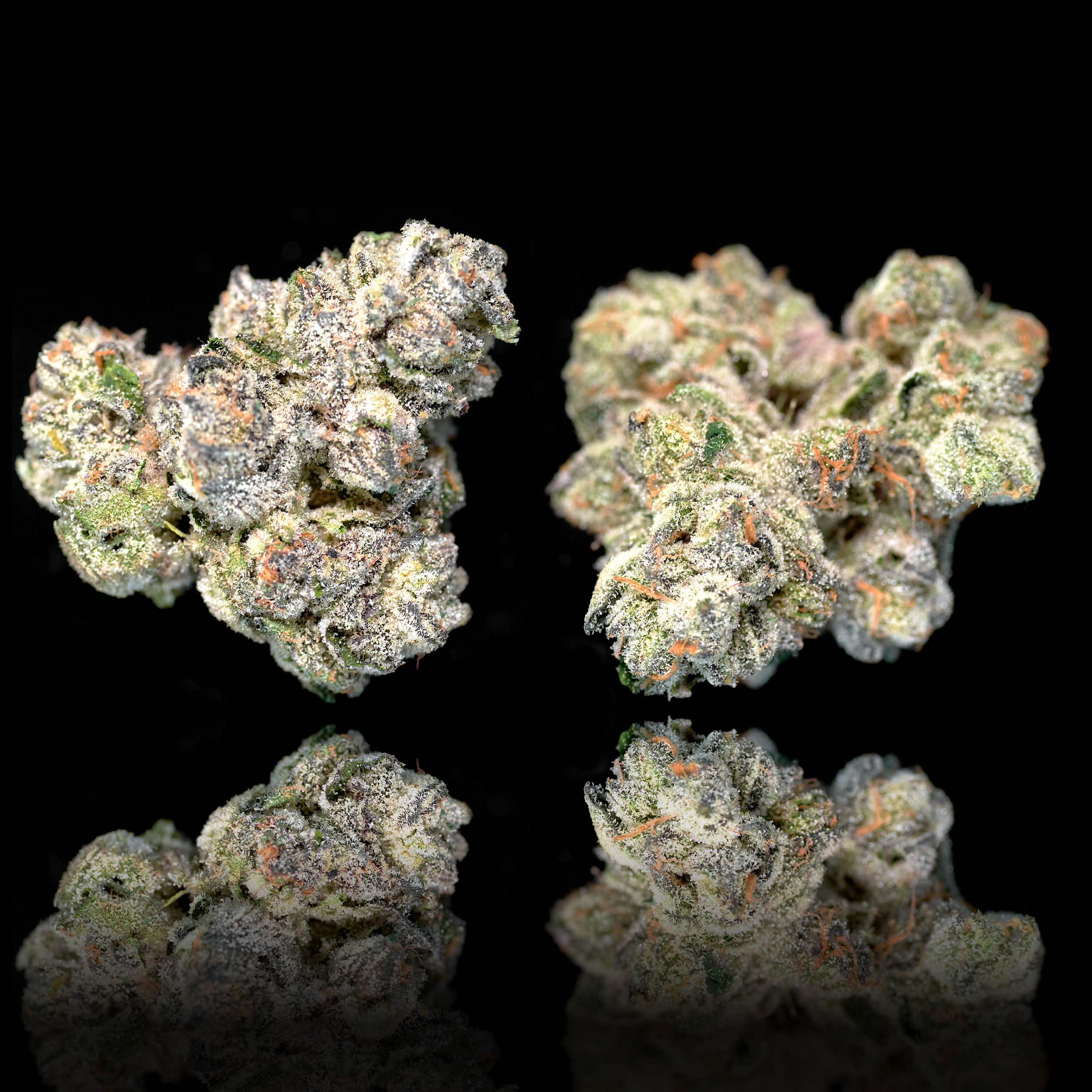 Black Diamond X harvested flower, as labeled by the cited photo source