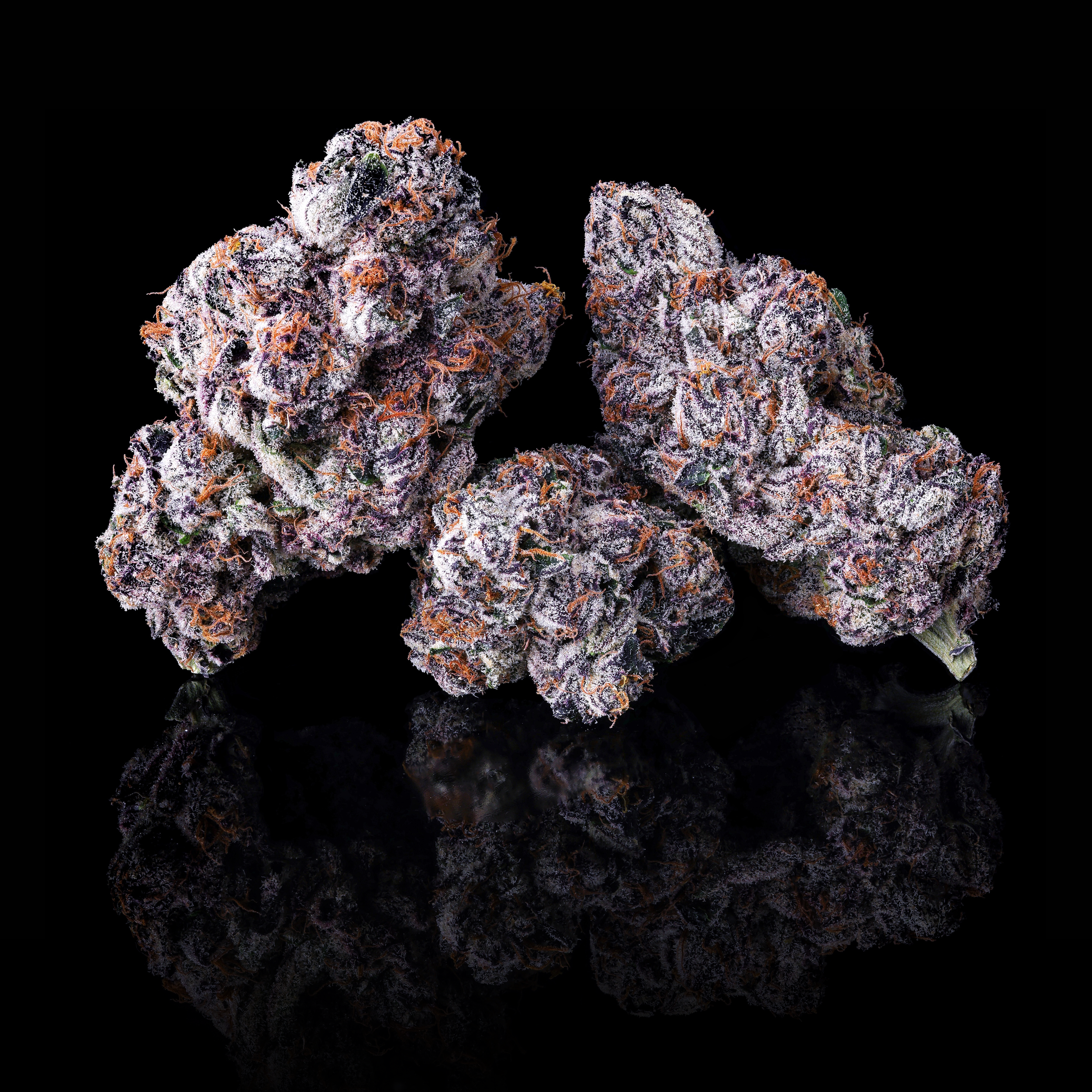 CHROME DOME TRIPLE NUGS BLACK SQUARE (1).png