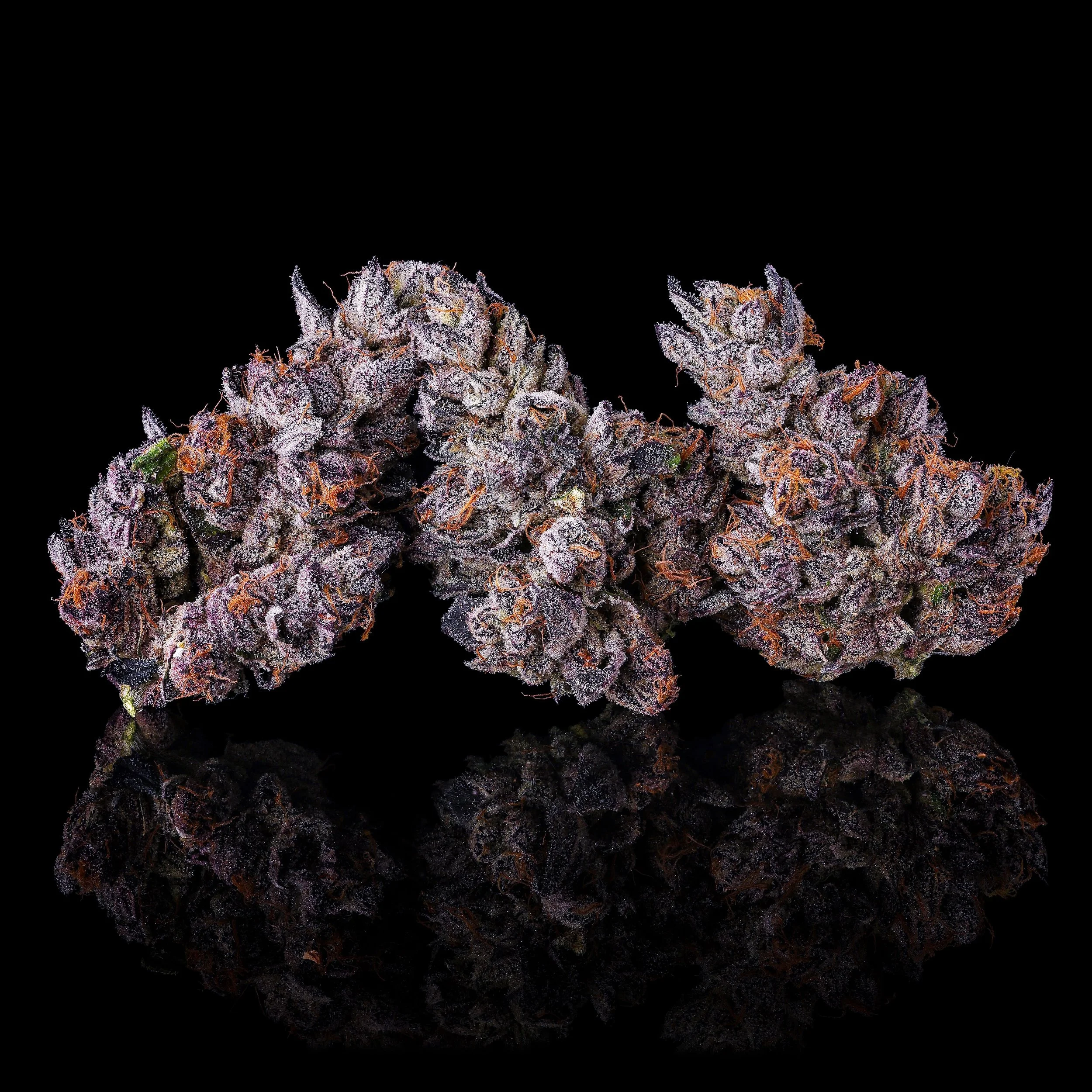 DIRTY LAUNDRY NEW TRIPLE NUGS BLACK TALL 2026.jpg