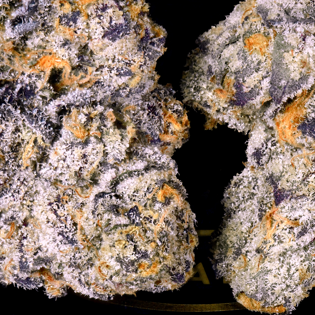 Untitled design - 2026-03-05T010422.988.png