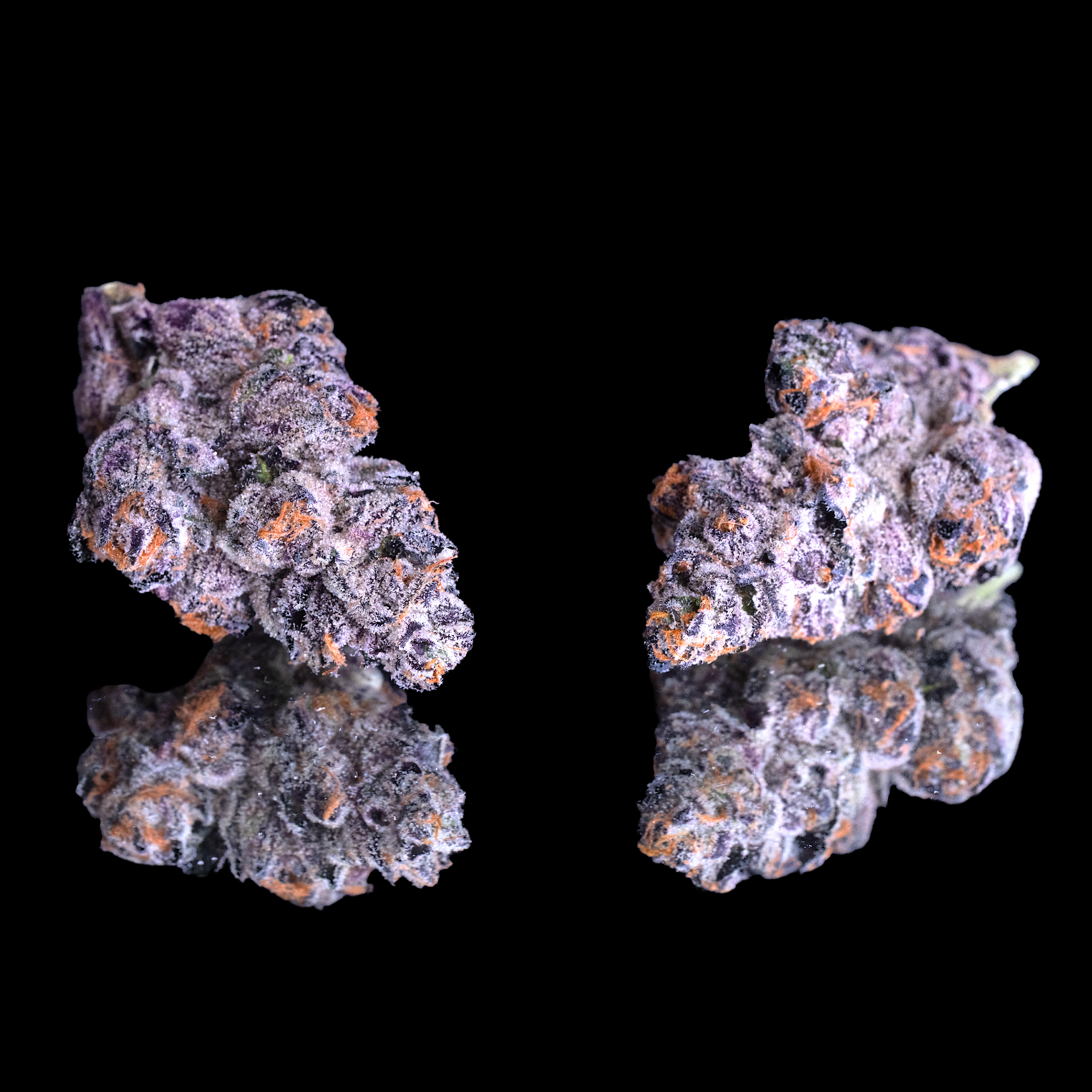PANTA RHEI DOUBLE NUGS BLACK 2024.png