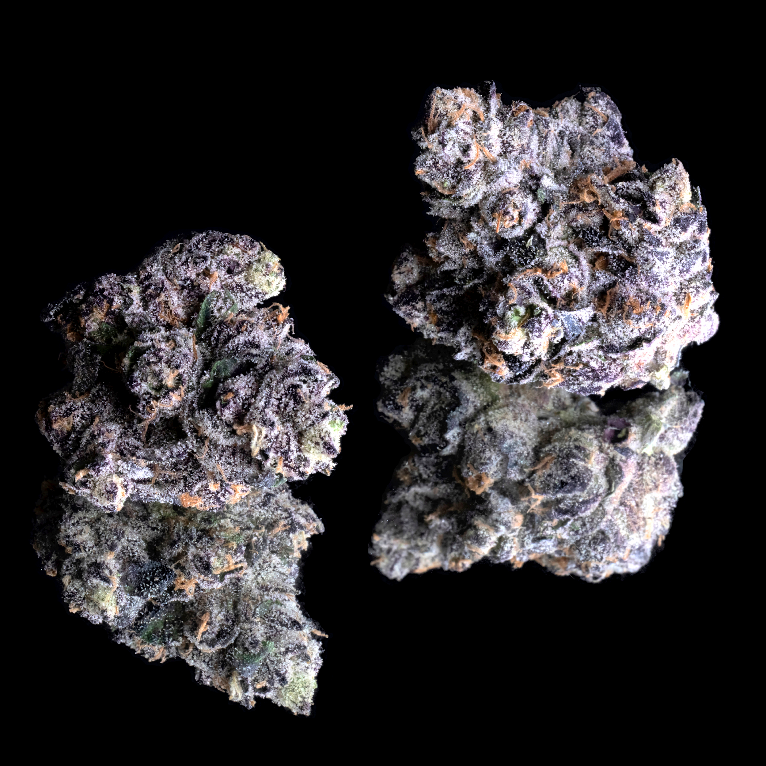 PRIZM DOUBLE NUGS BLACK 2024.png
