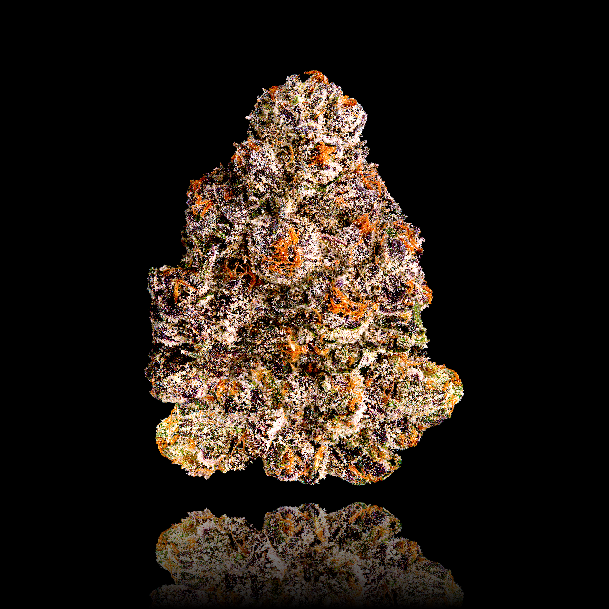 RS-X FULL NUG BLACK SQUARE.png