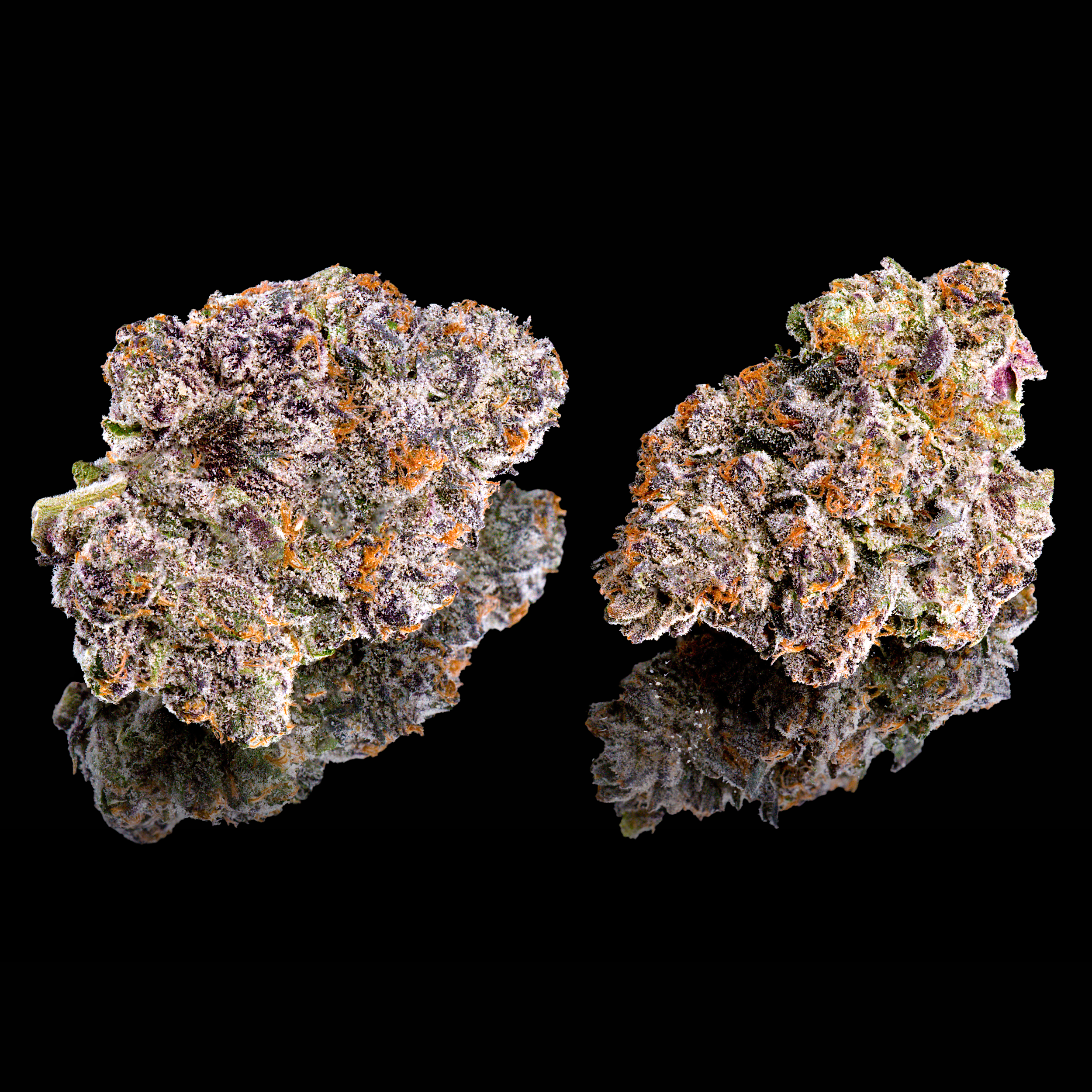 RS-X DOUBLE NUGS #1 BLACK SQUARE.png