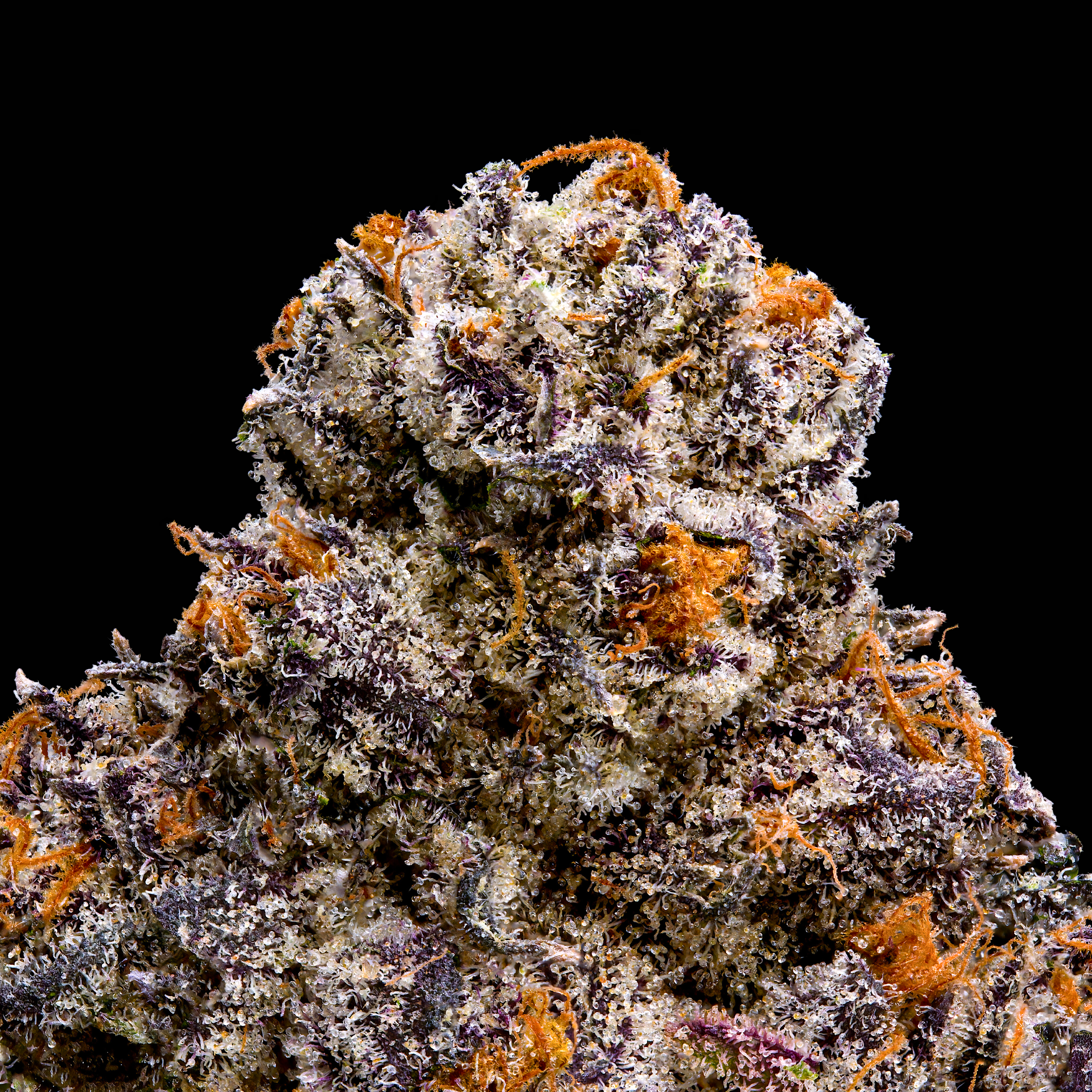 RS-X MACRO BLACK SQUARE.png