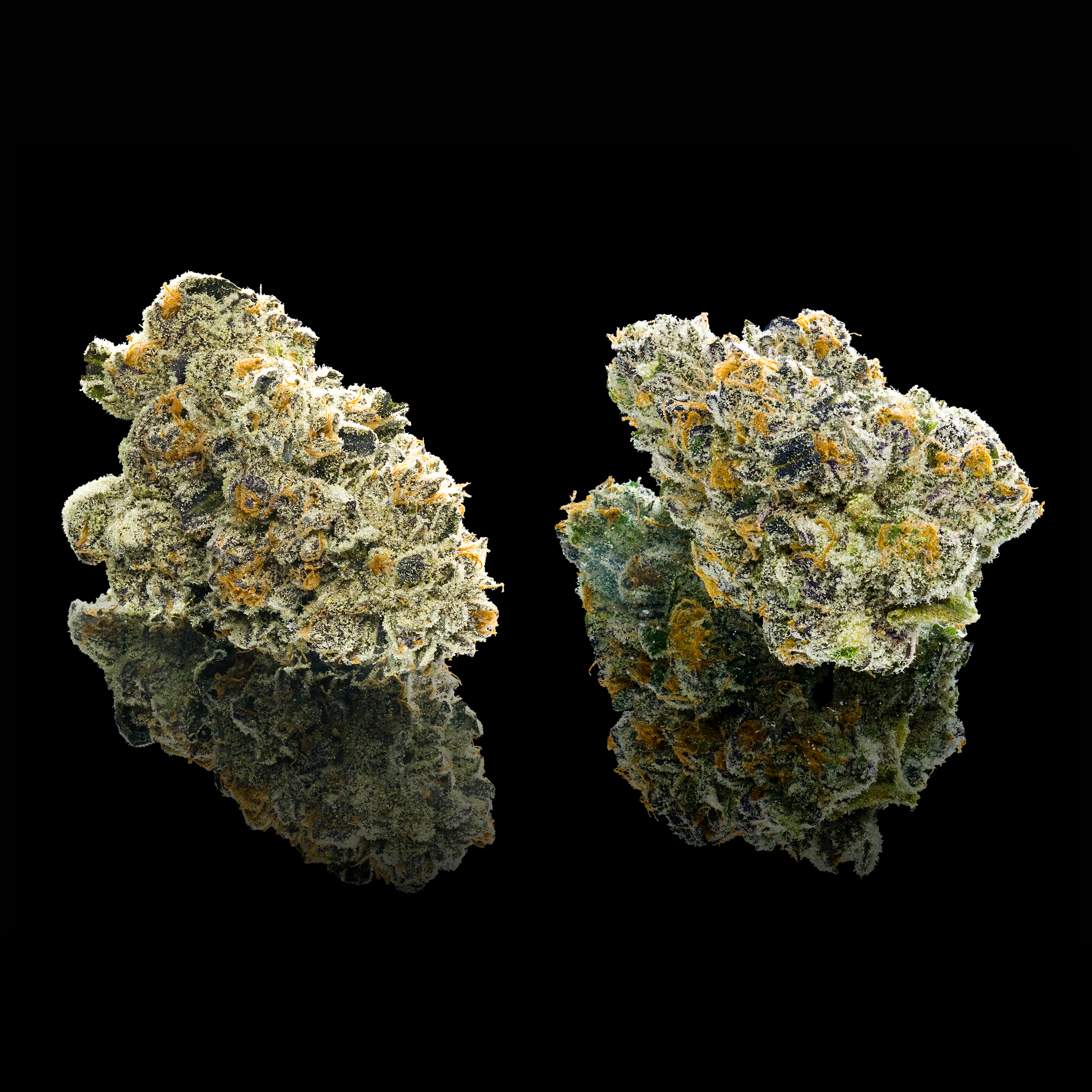 UBE CREME DOUBLE NUGS BLACK SQUARE CUSTOM 2024.png