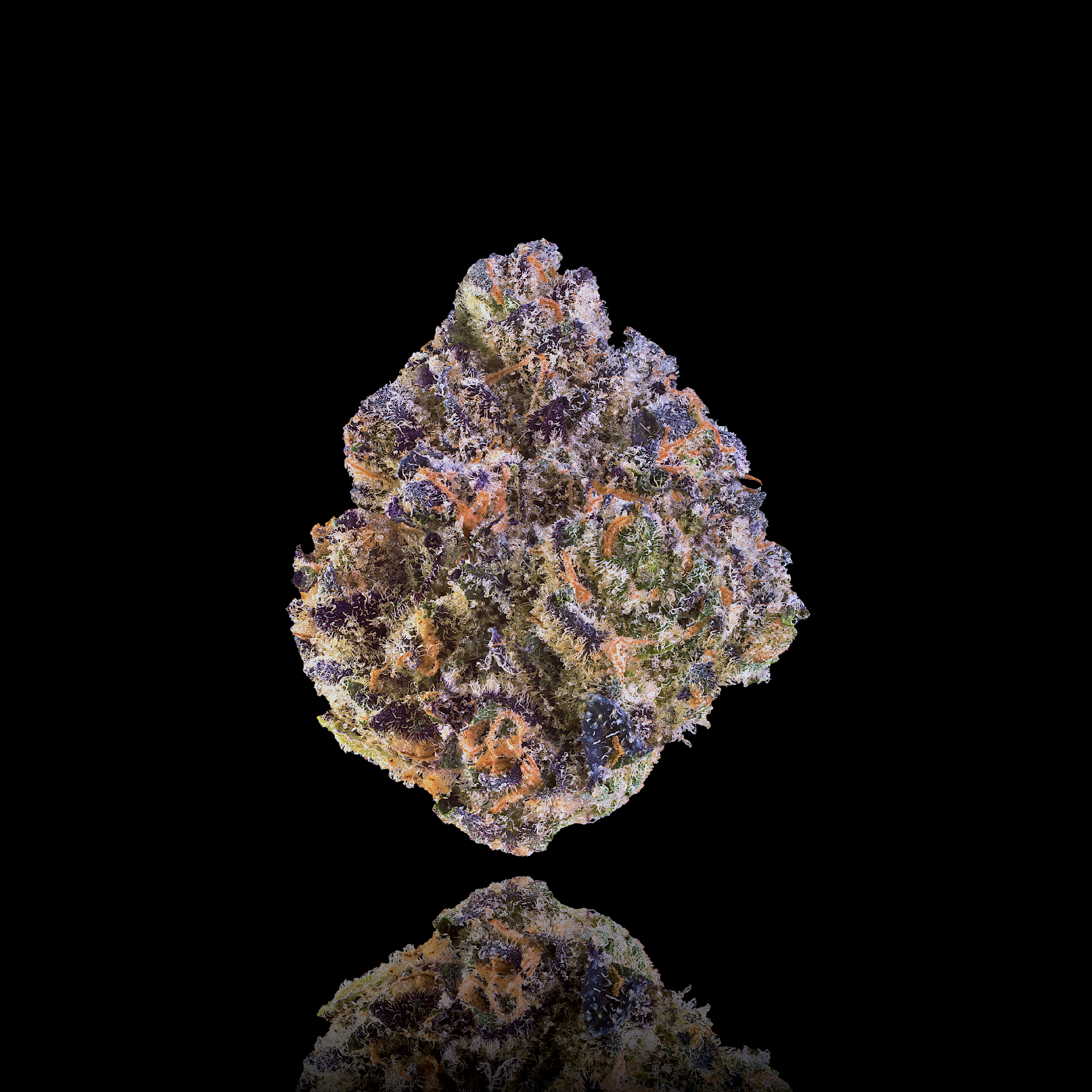 UMAMI BUTTER FULL NUG REDUX 2024.png