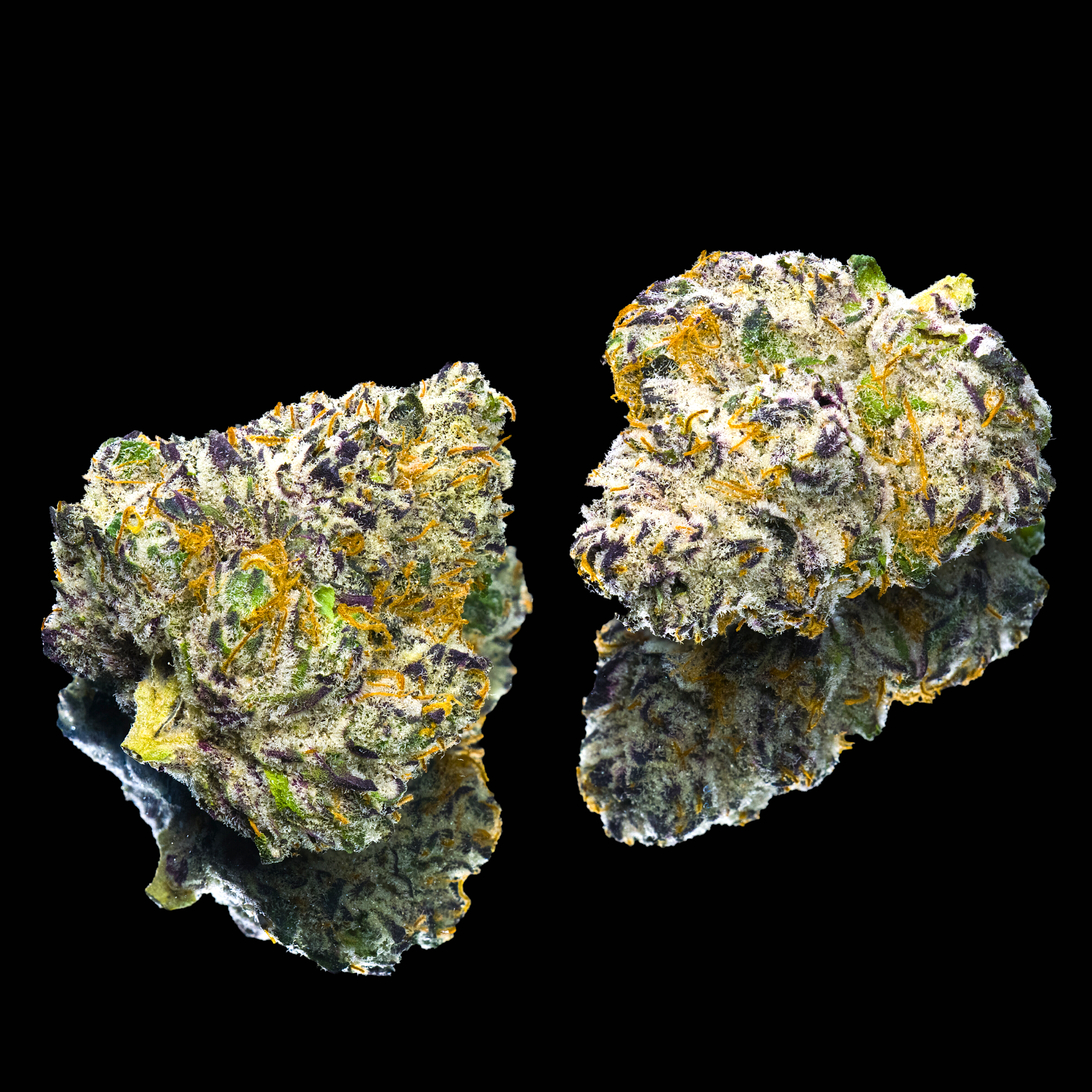 WIDOWS GLAZE DOUBLE NUGS #1 BLACK SQUARE.png