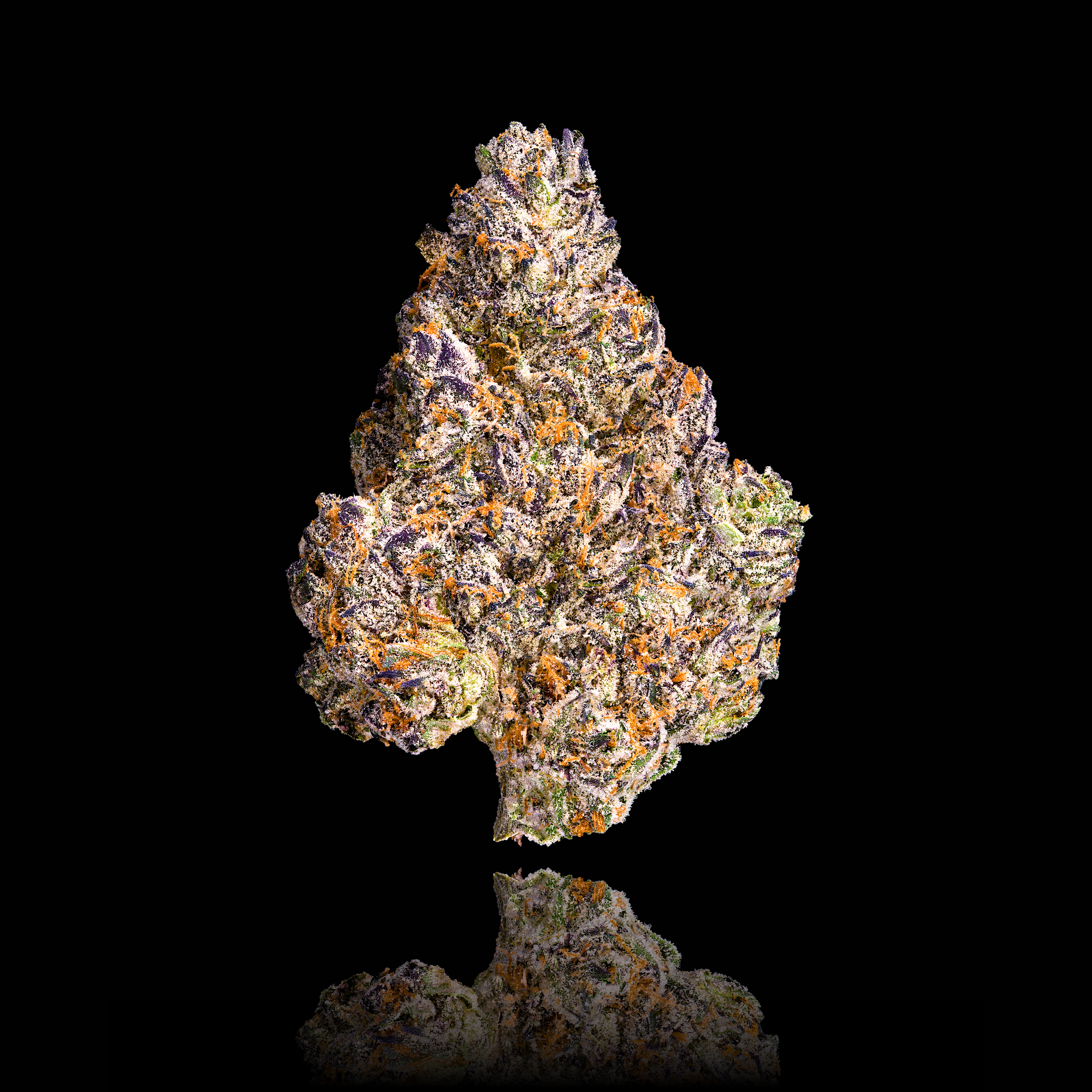CHROMA FULL NUG BLACK SQUARE copy.png