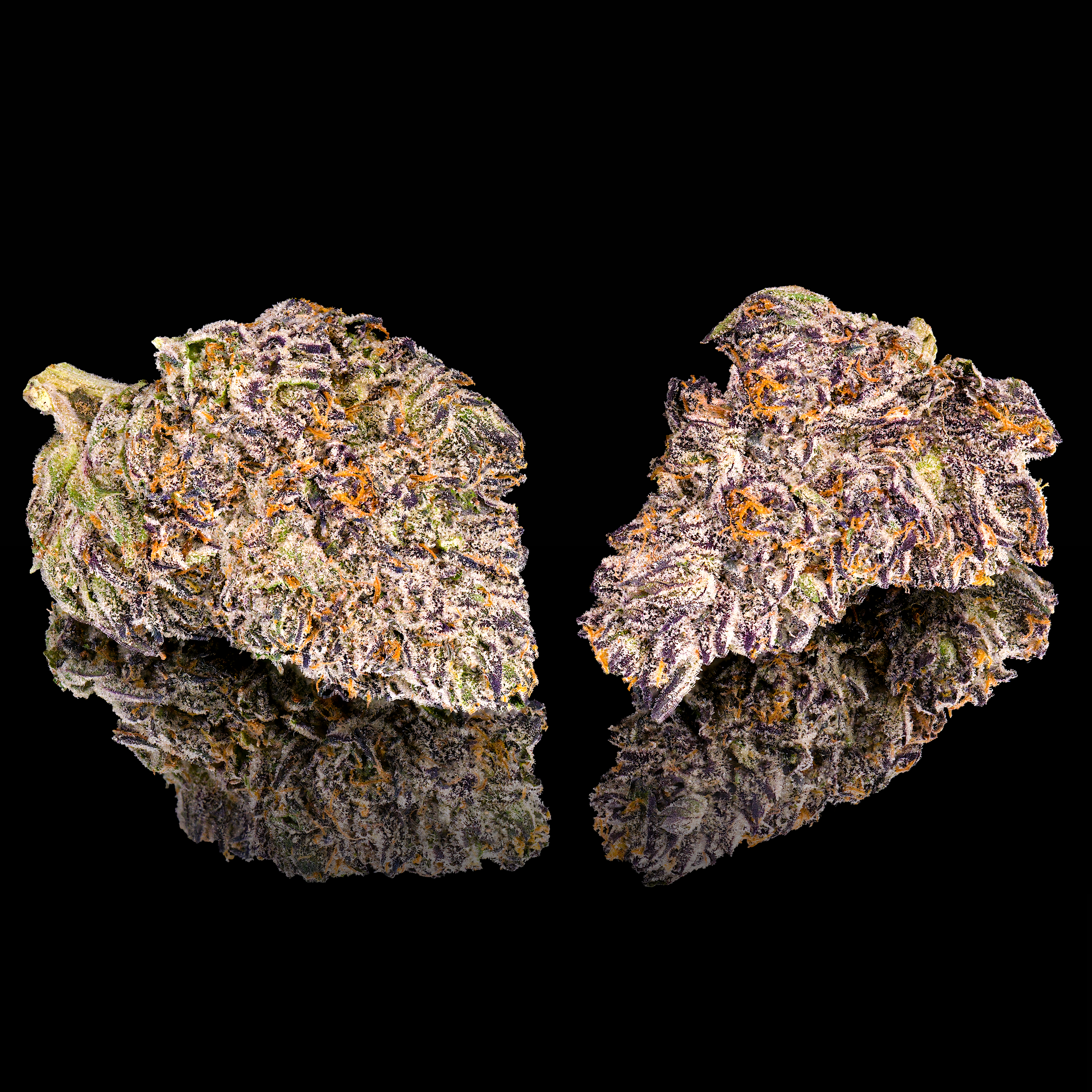 CHROMA DOUBLE NUGS #1 BLACK SQUARE.png