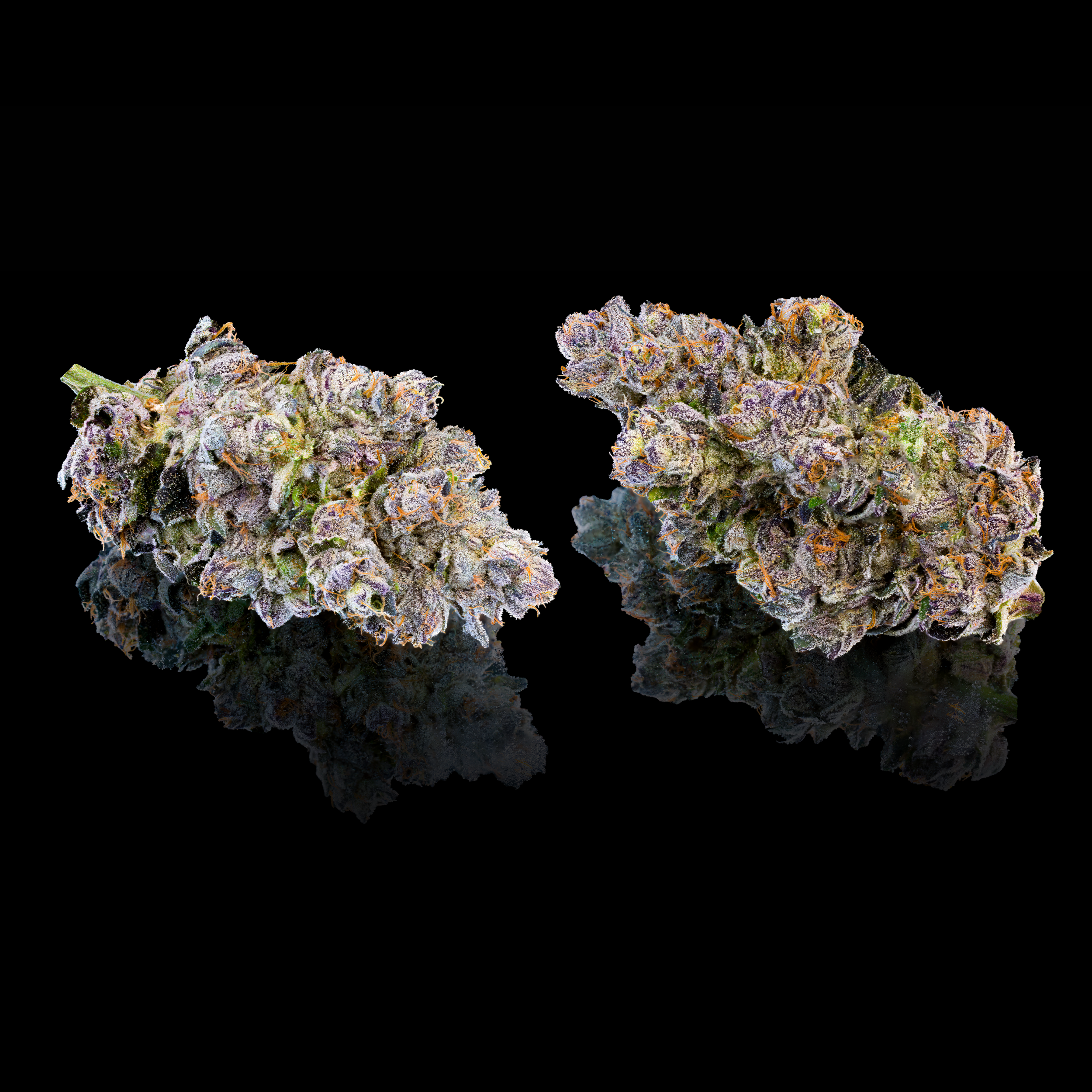 LIP STAIN (PRIZM x LIPSMACKERZ #13) DOUBLE NUGS #2 BLACK SQUARE.png