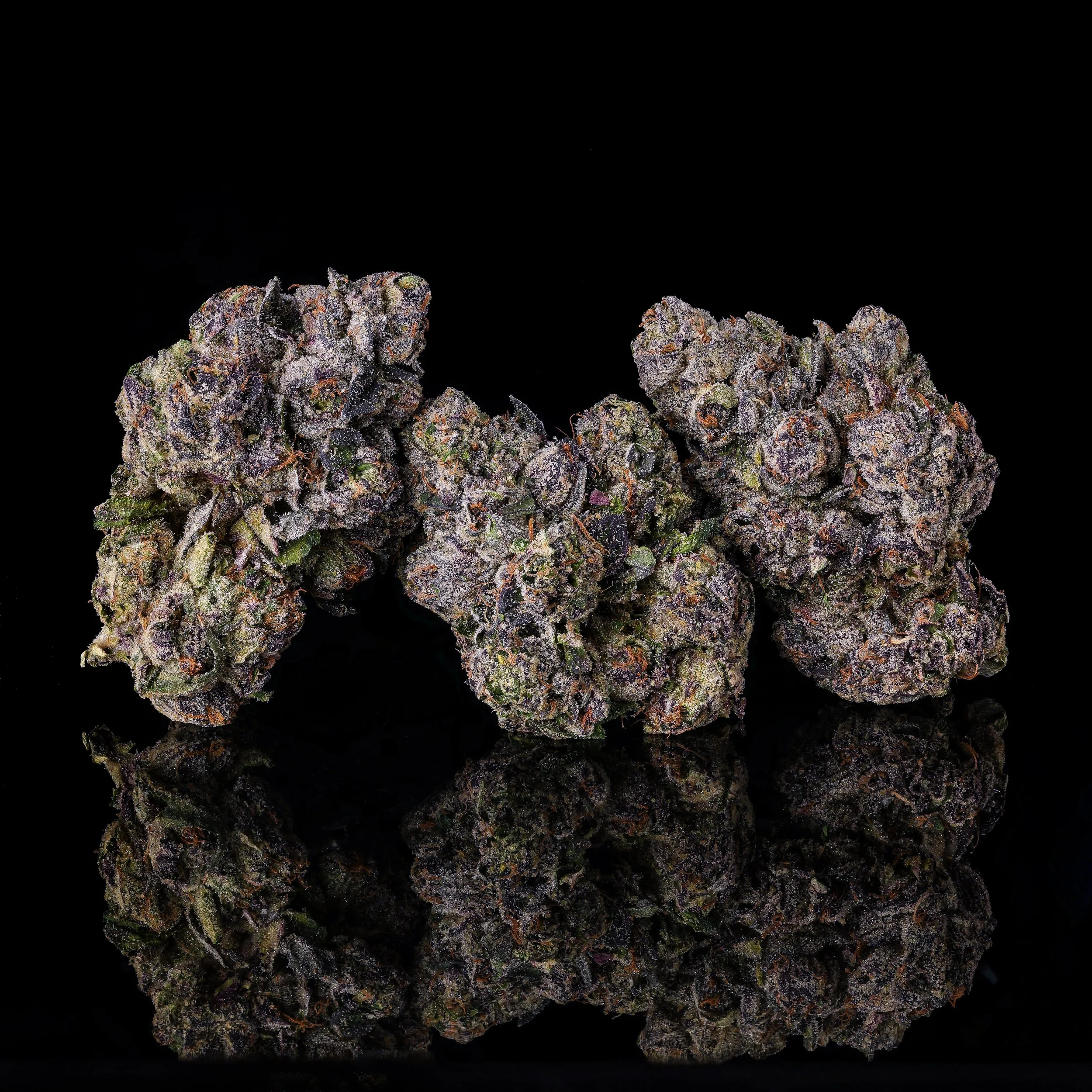 LIPSTAIN TRIPLE NUGS ORIGINAL 2026.jpg