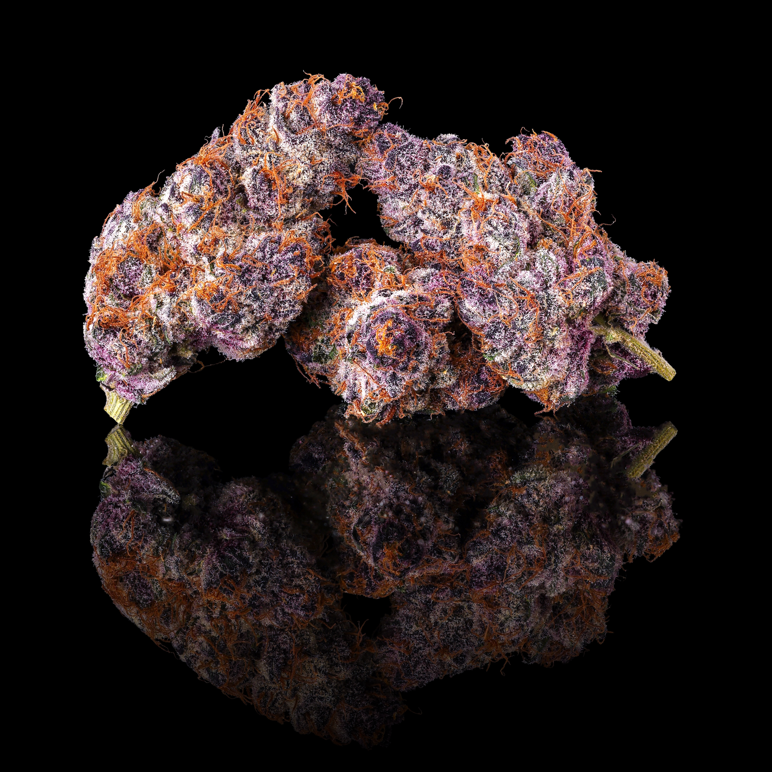 LEMON CHERRY TROPICANA TRIPLE NUGS BLACK SQUARE 2026.png
