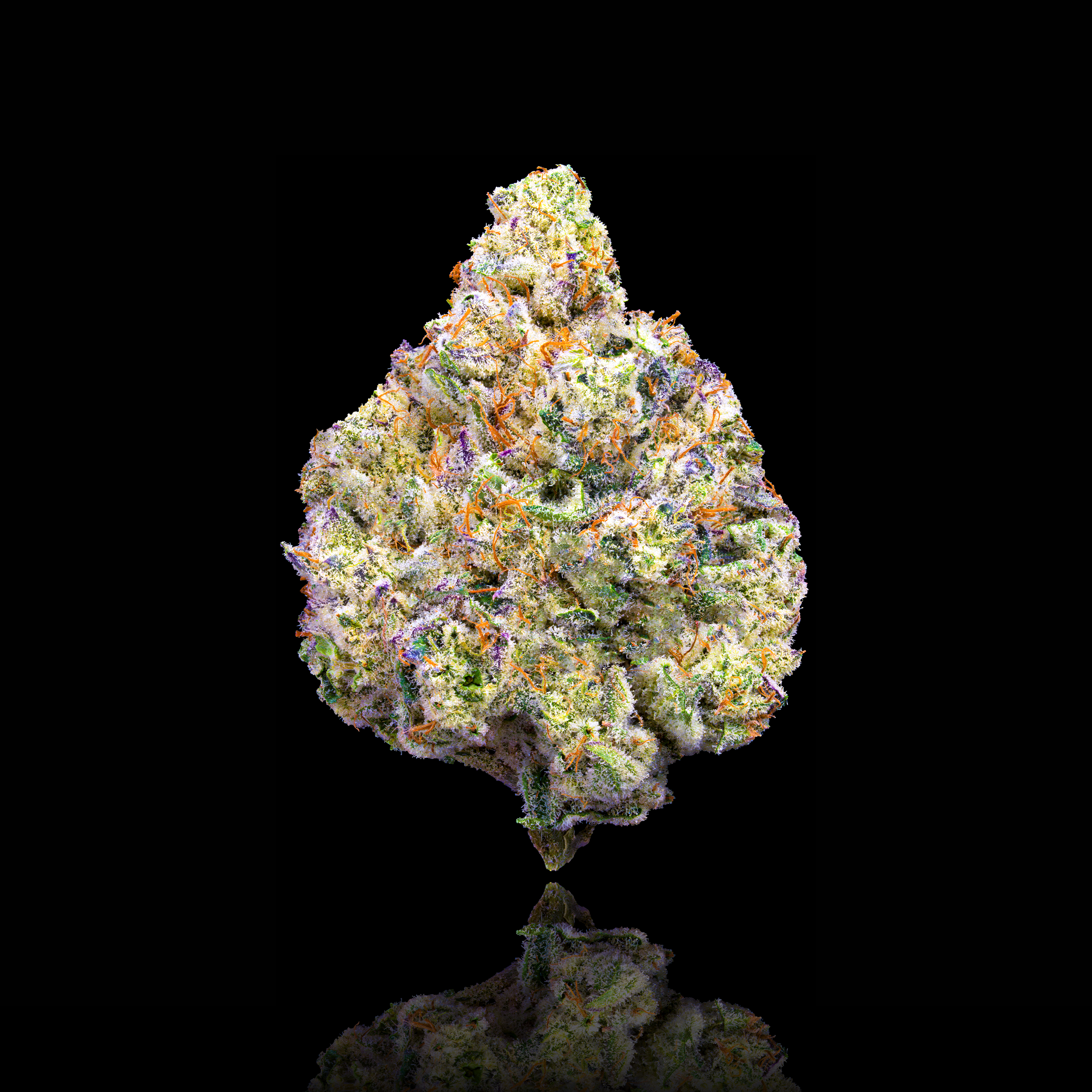 PINEAPPLE BISCOTTI FULL NUG BLACK SQUARE (1).png
