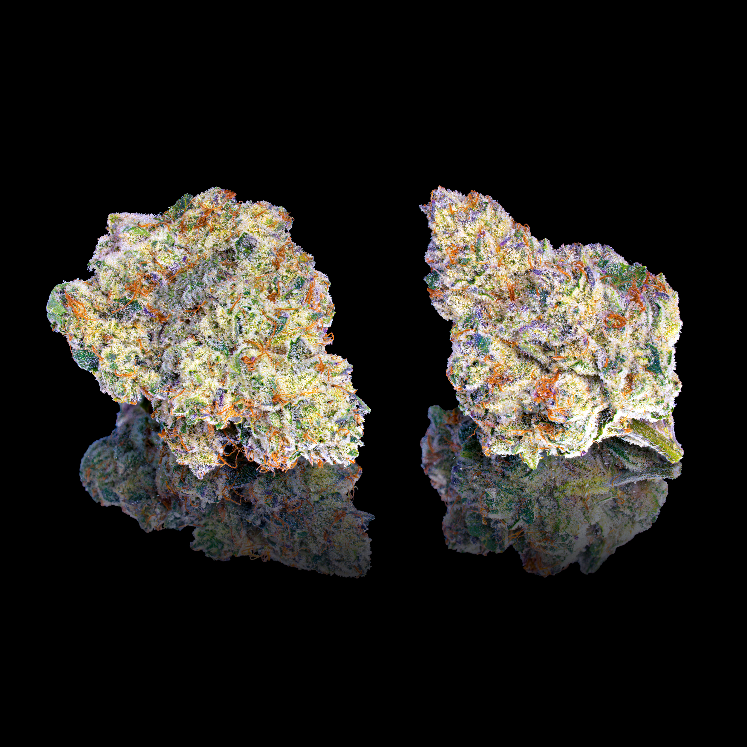 PINEAPPLE BISCOTTI DOUBLE NUGS #2 BLACK SQUARE.png