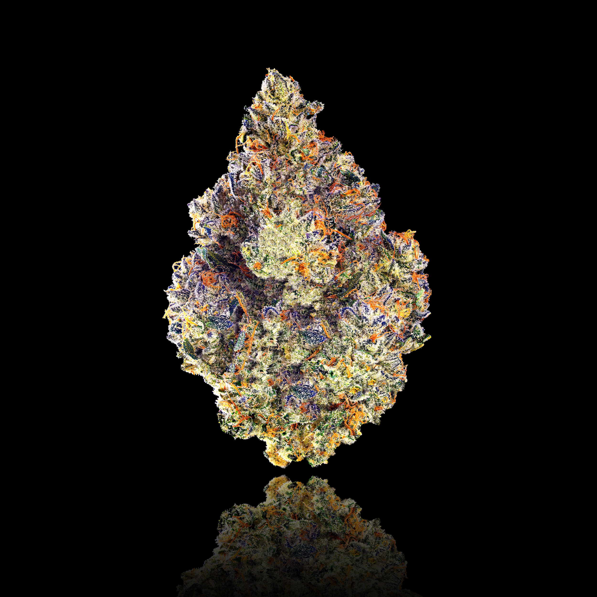 CHEM 51 FULL NUG BLACK SQUARE.png