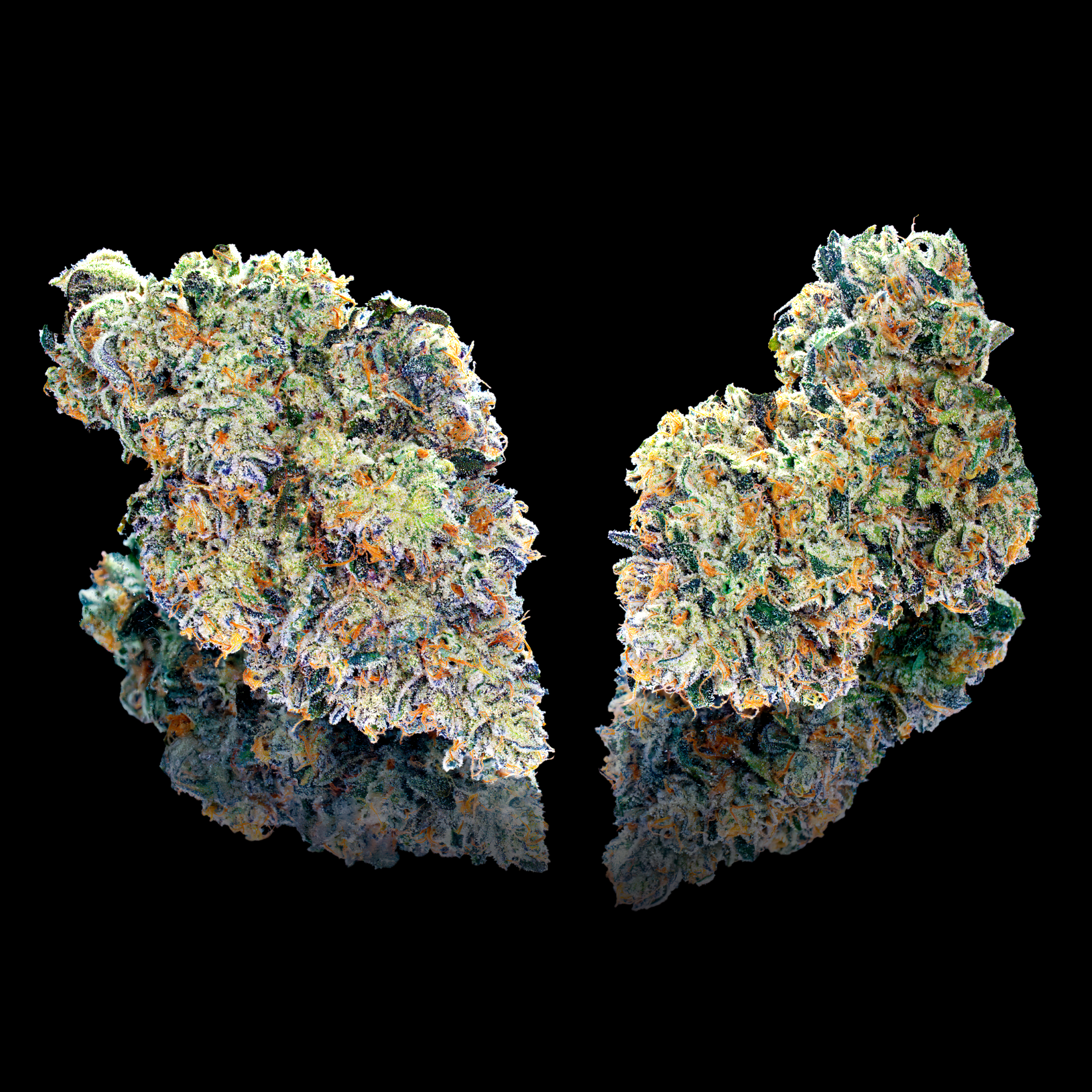 CHEM 51 DOUBLE NUGS #1 BLACK SQUARE.png