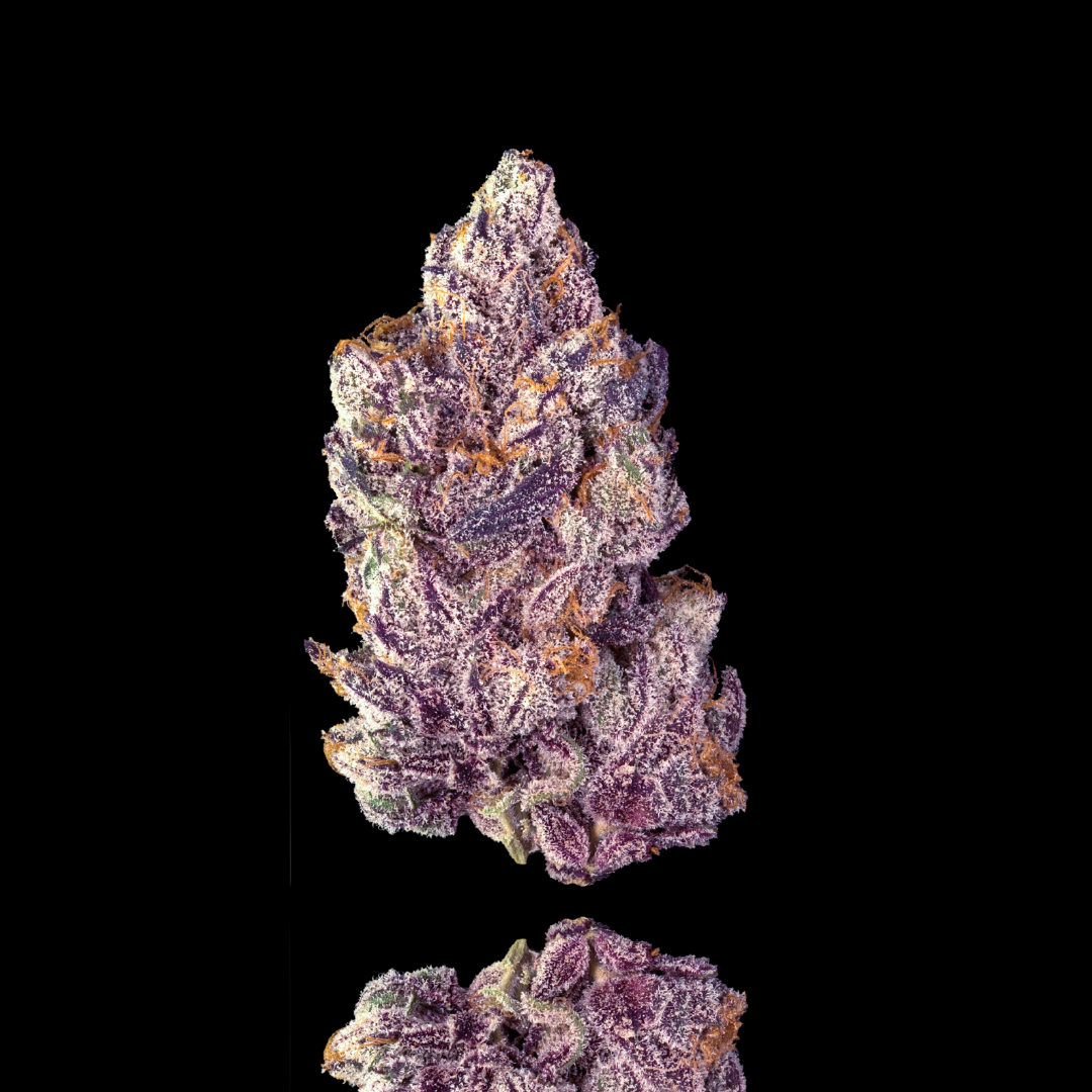 Untitled design - 2026-03-05T132216.086.png