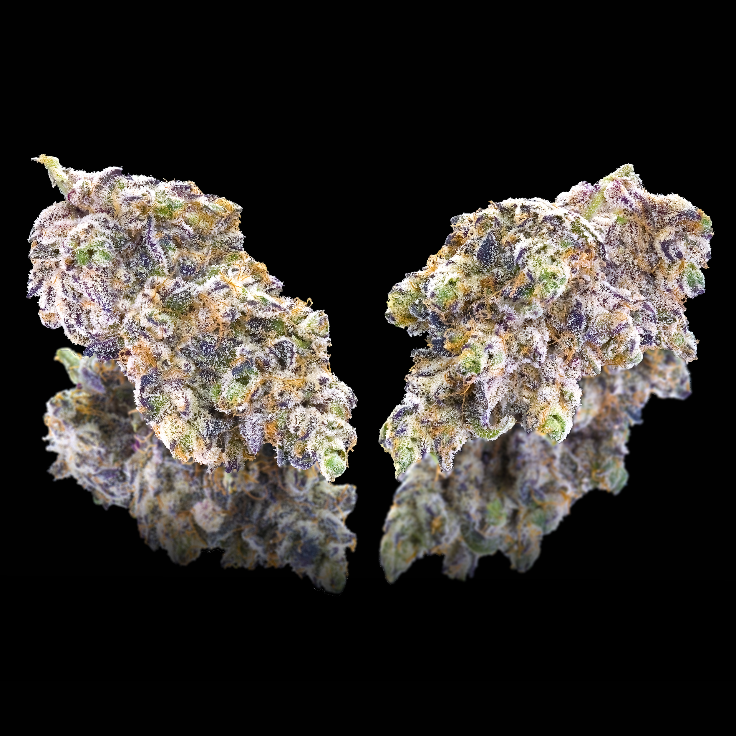 FKAFL DOUBLE NUGS BLACK SQUARE 2024.png