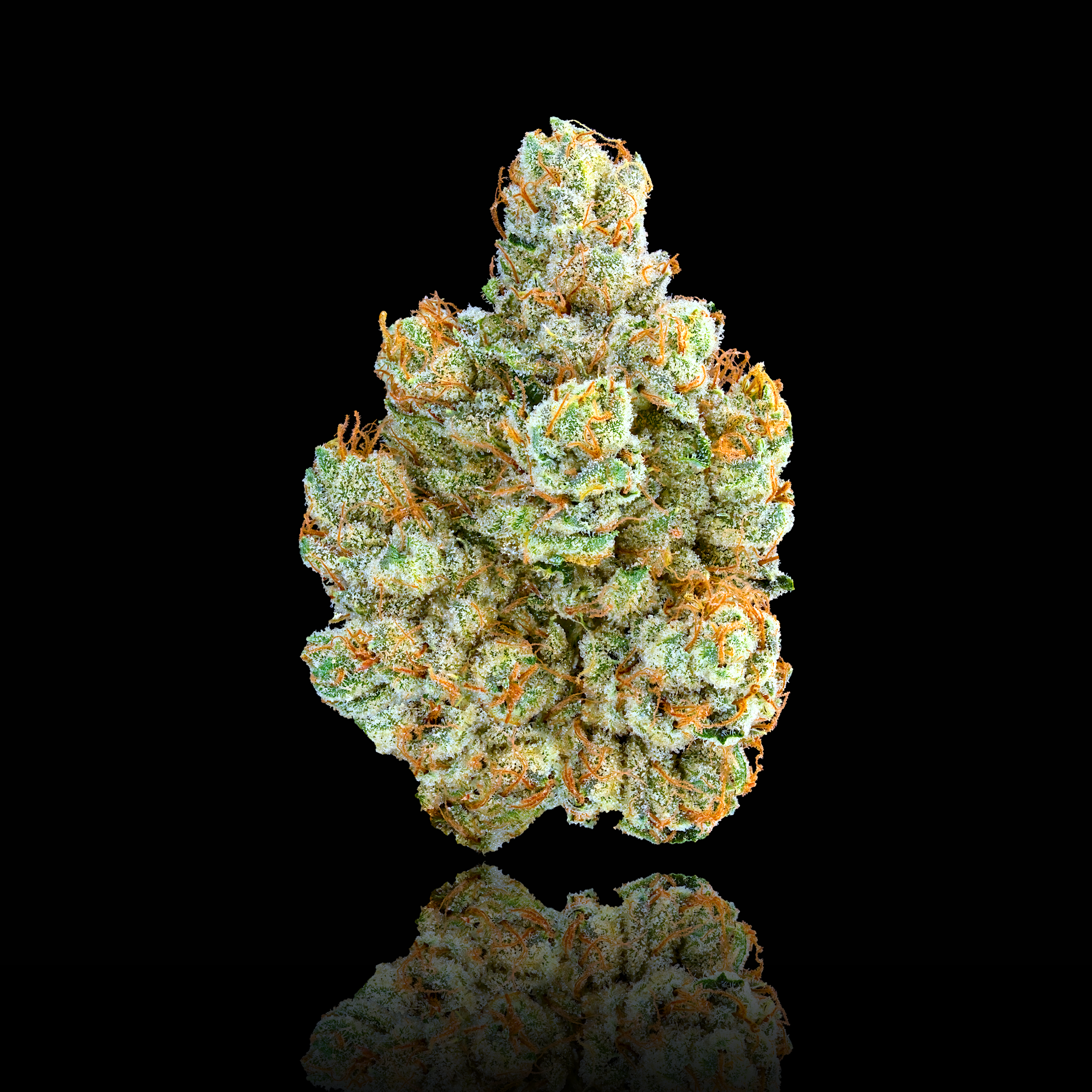 SFV OG