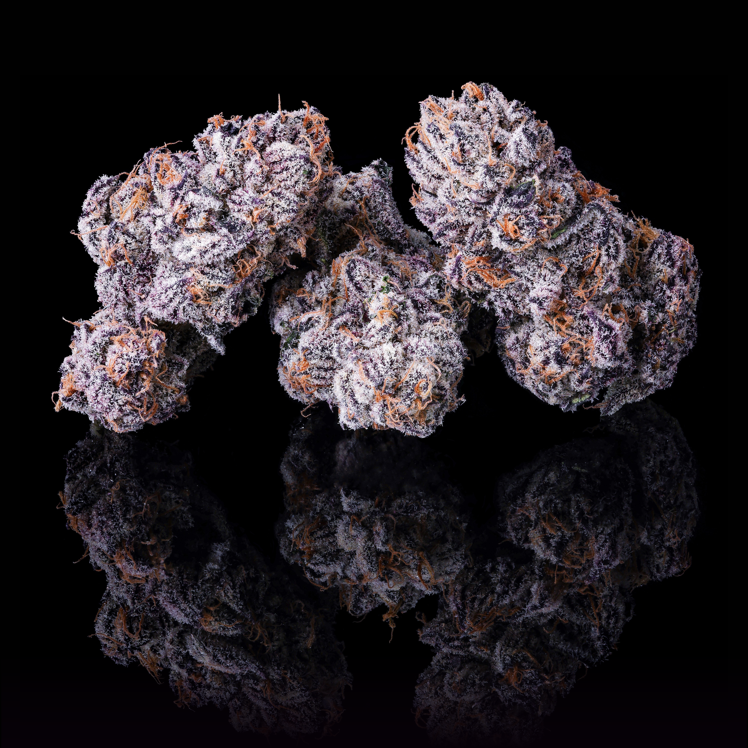 NEW MONEY TRIPLE NUGS #2 BLACK SQUARE.png