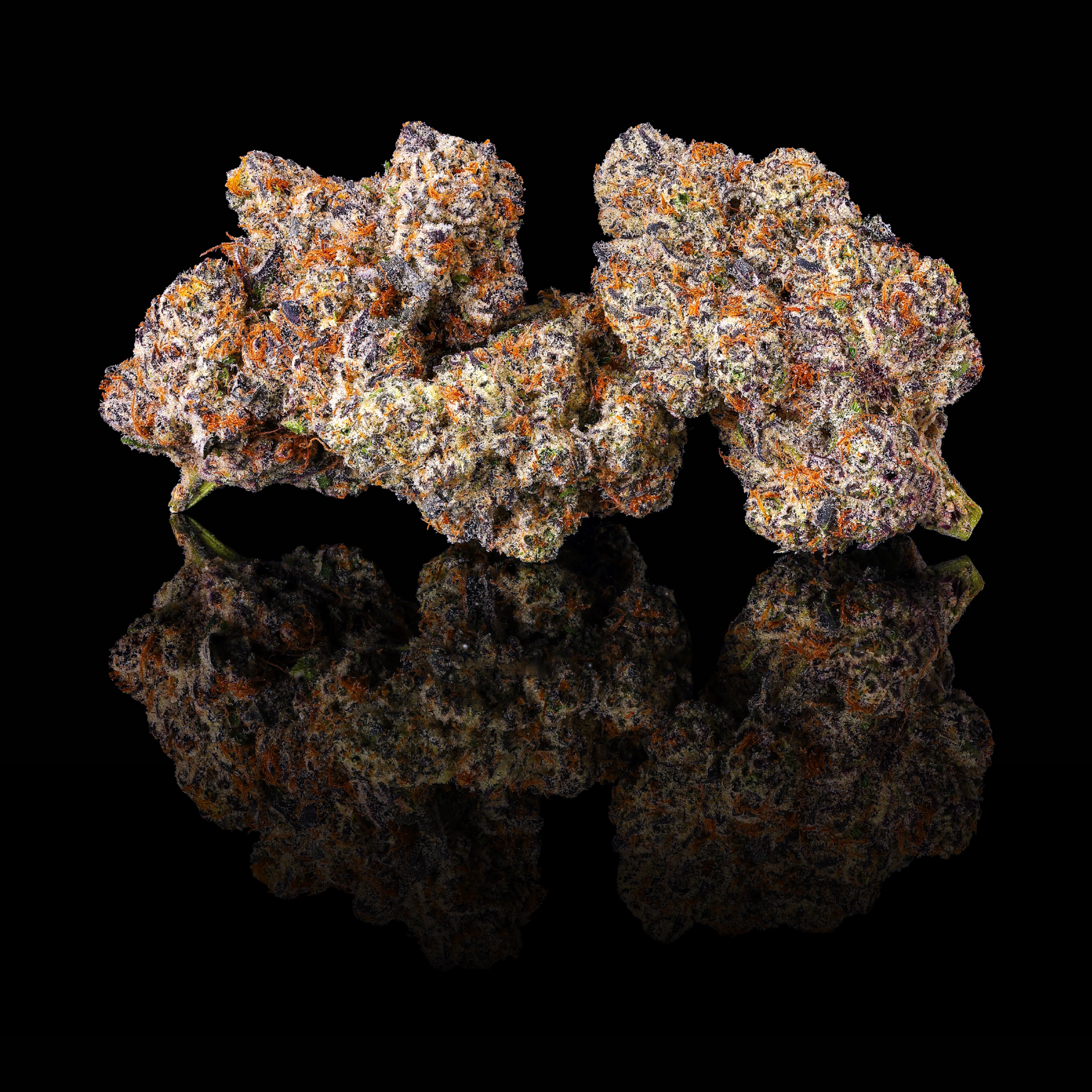 PARISIAN KUSH TRIPLE NUGS BLACK SQUARE 2026.png