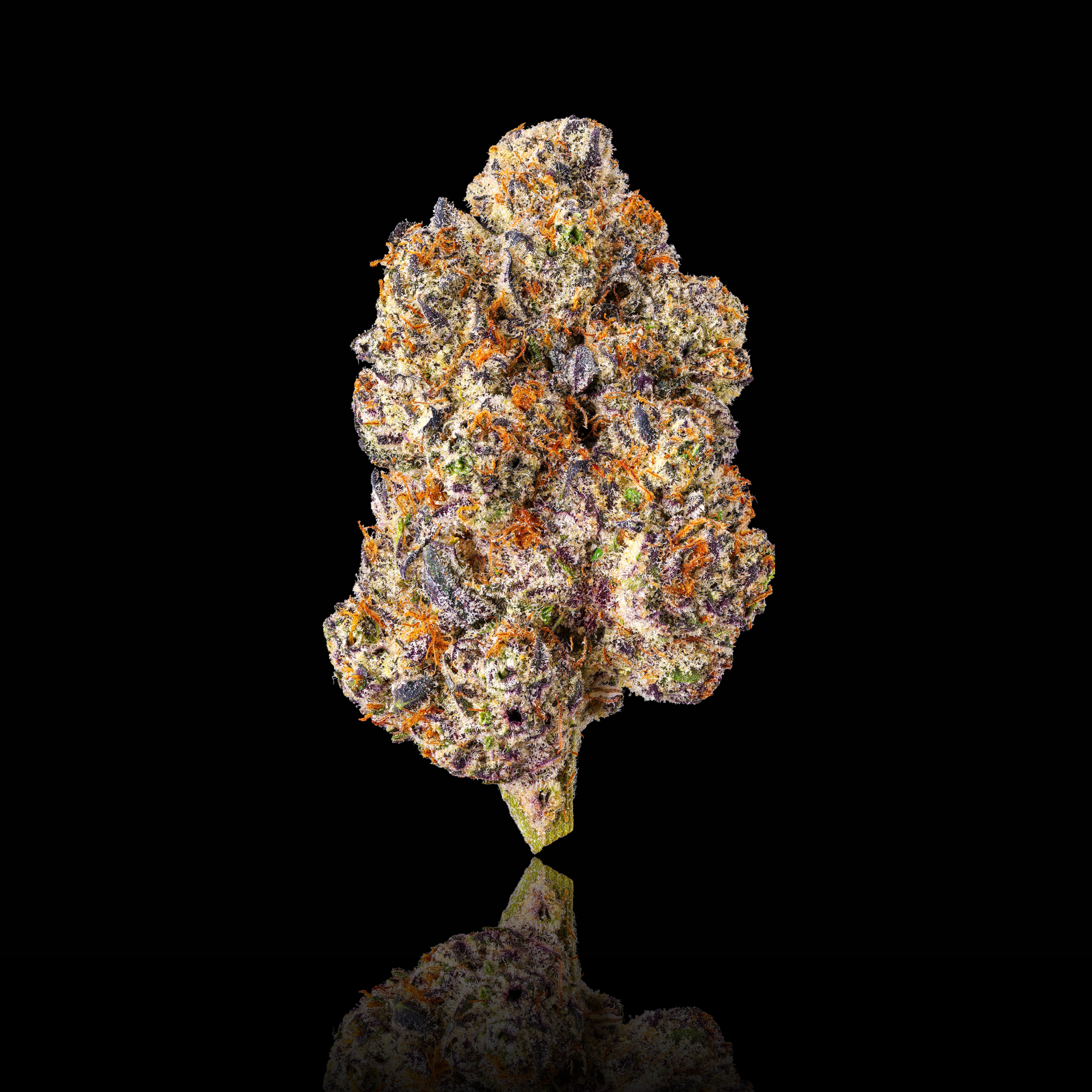 Parisian Kush