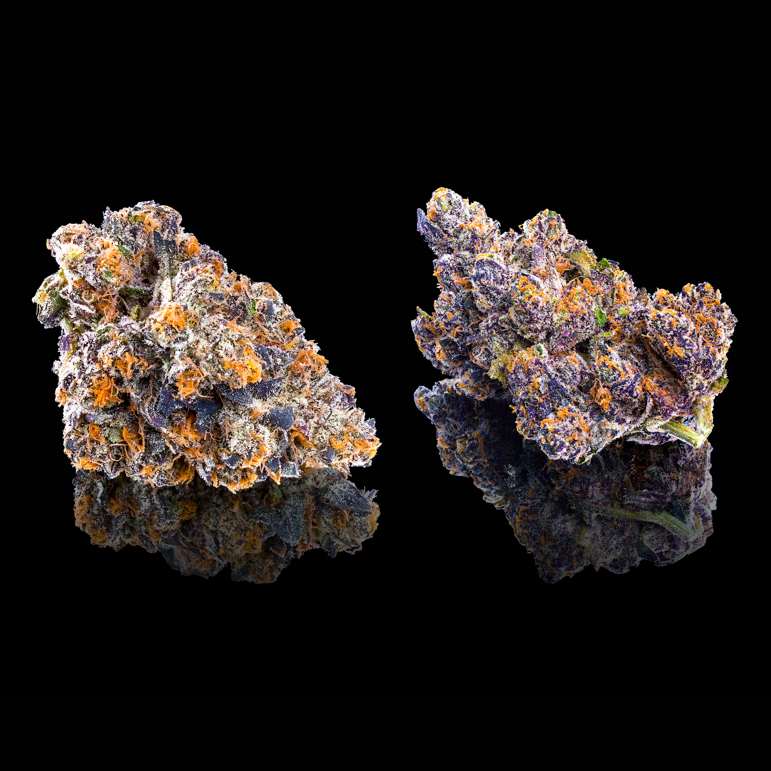 DULCE DE MIEL DOUBLE NUGS #2 BLACK SQUARE.png