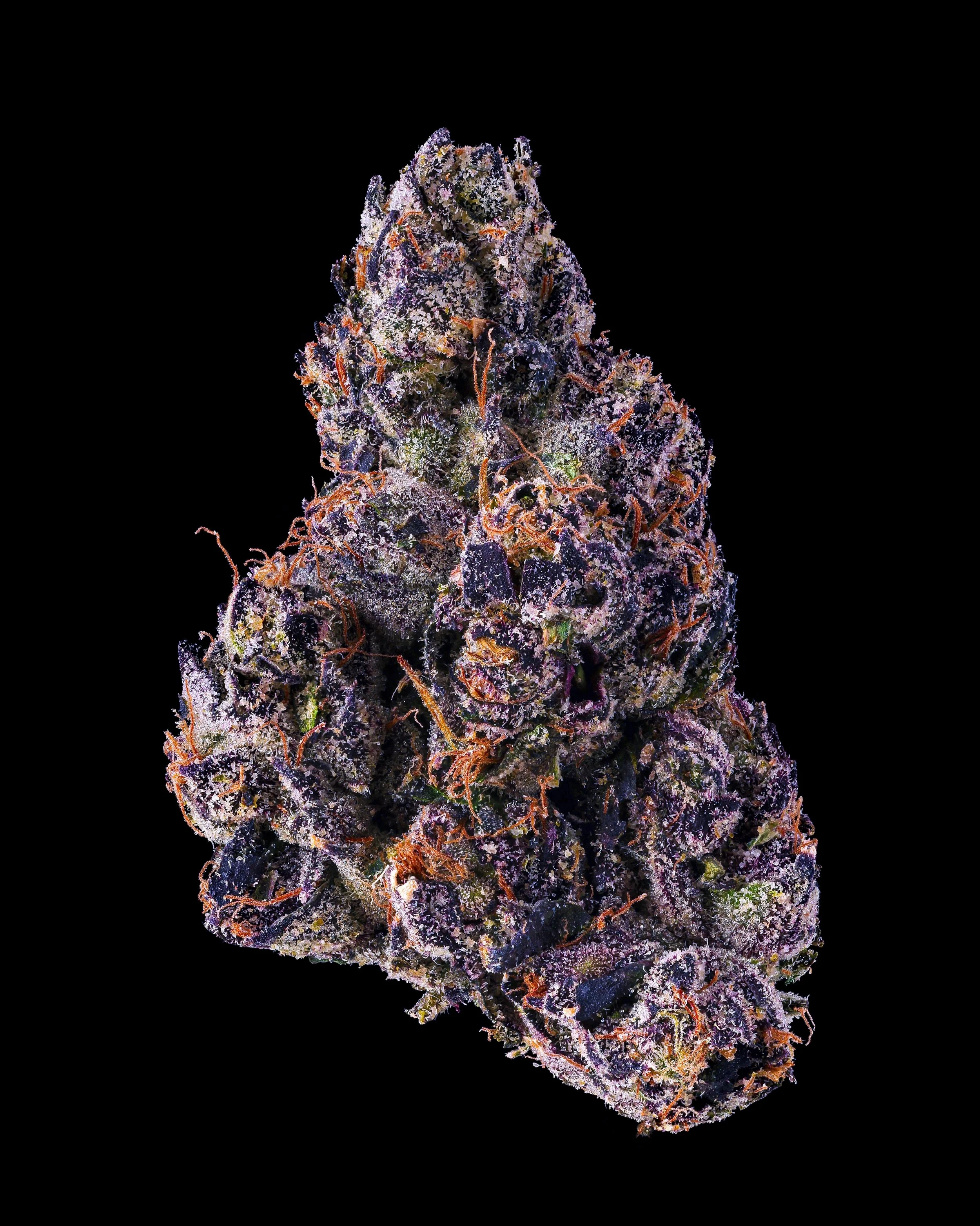 Stiiicky Grapez Full Nug Black Tall 2026.jpg
