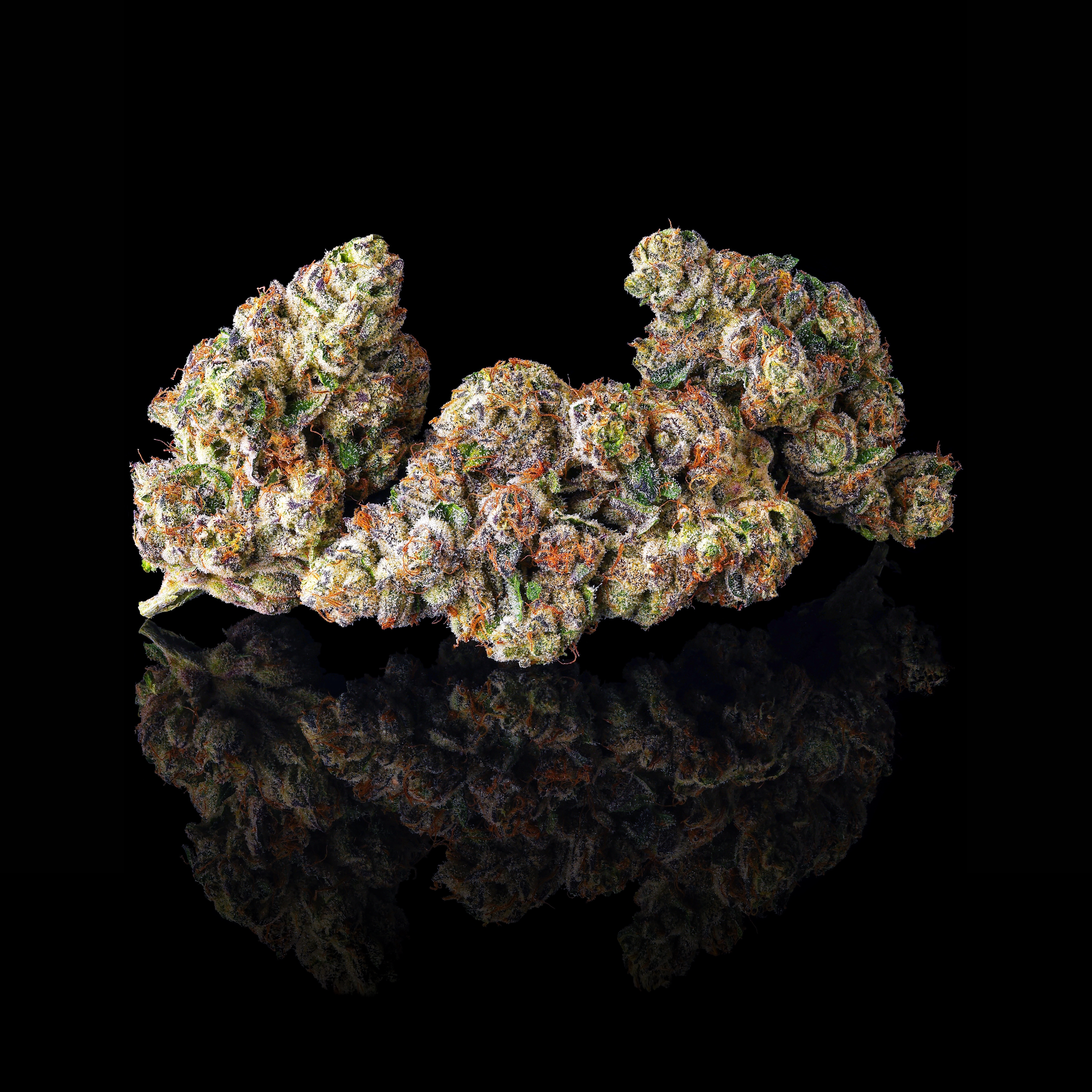 FRENCH BUTTER TRIPLE NUGS BLACK SQUARE 2026 (2).png