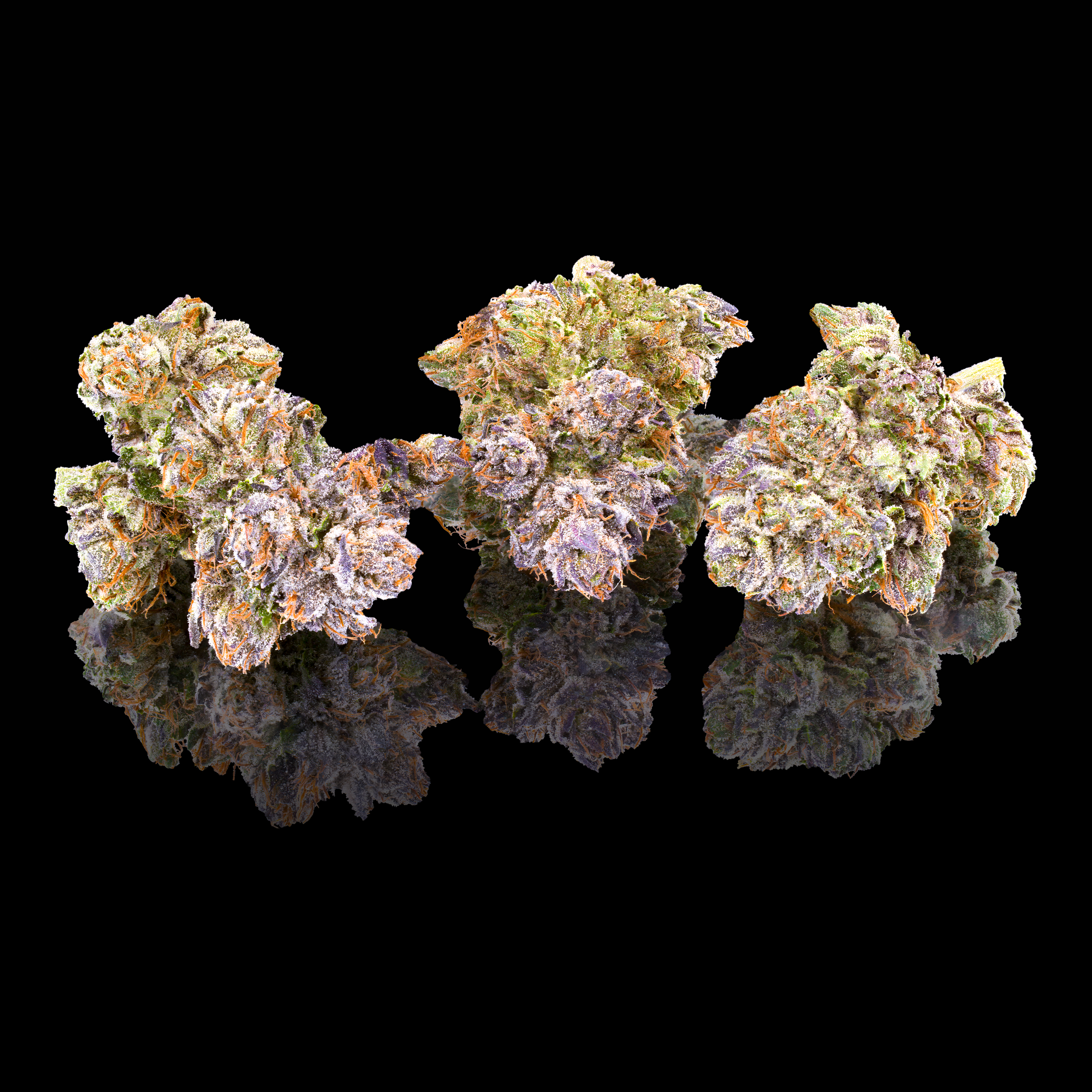 PRE-98 BUBBA KUSH TRIPLE NUGS BLACK SQUARE 2026.png