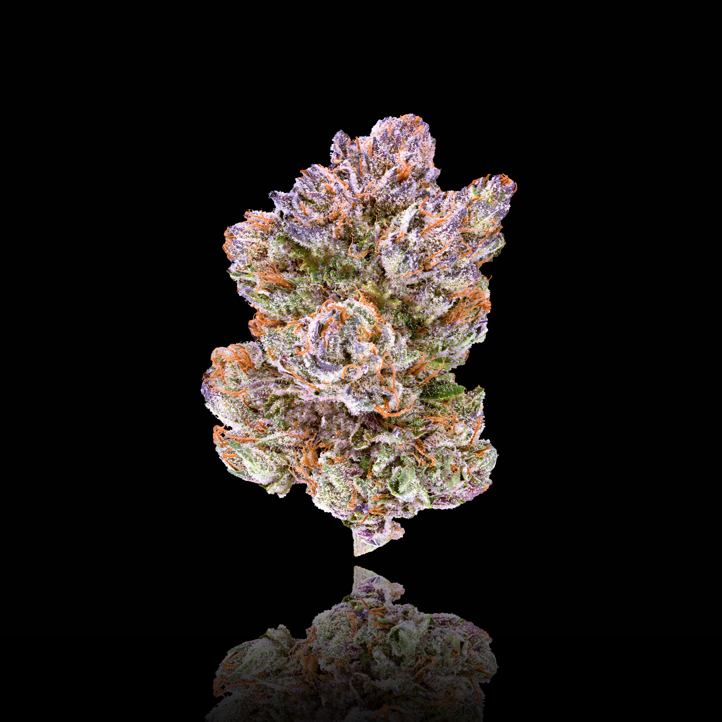 Pre-98 Bubba Kush