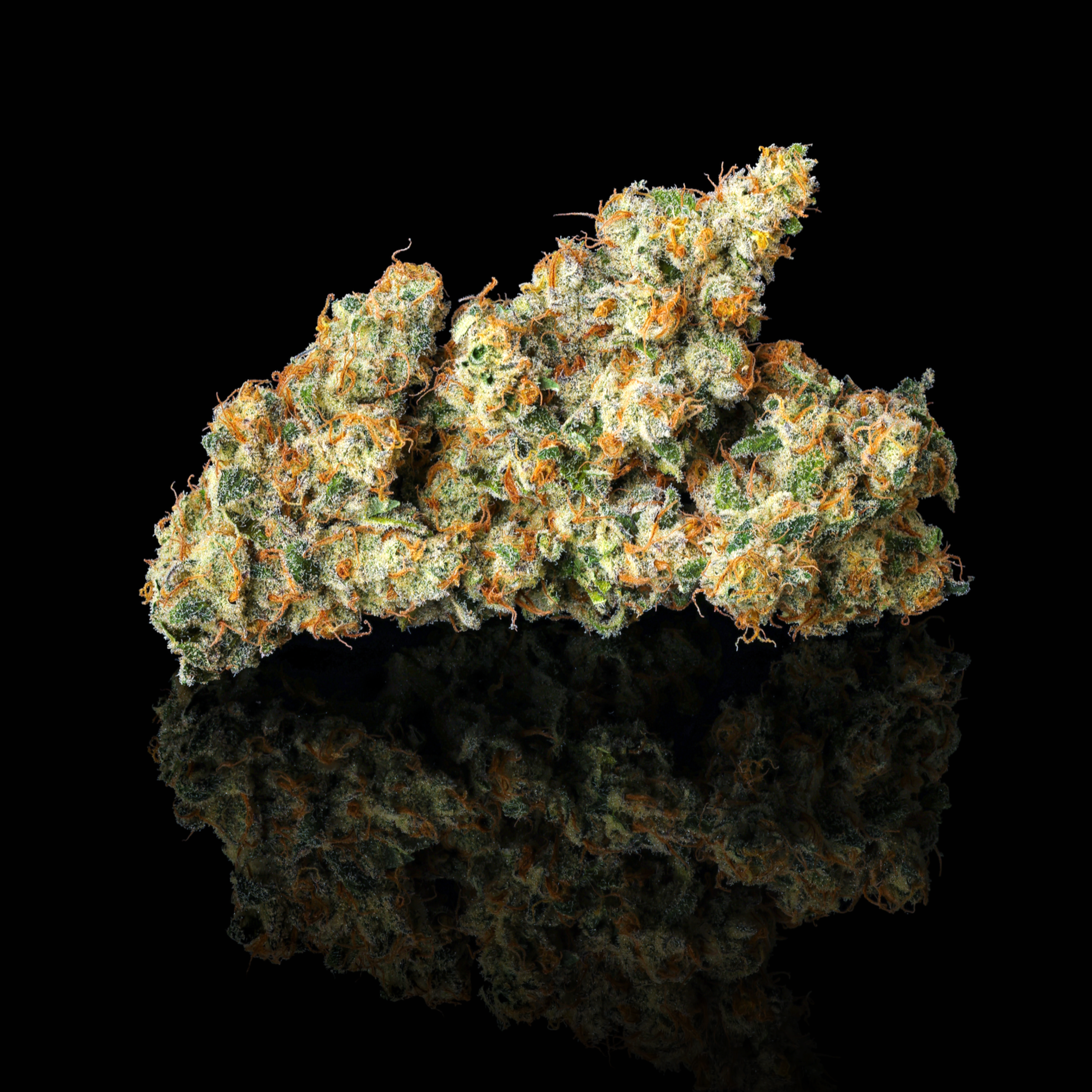 KING LEMON TRIPLE NUGS BLACK SQUARE 2026.png