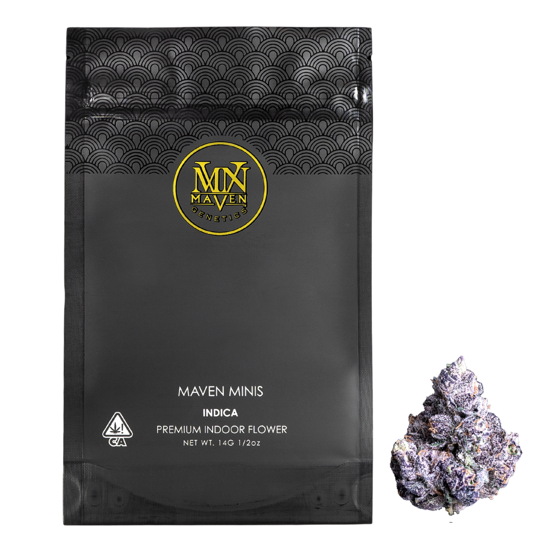 Package of Maven Minis 14g Indica premium indoor flower cannabis with a purple-tinged bud placed beside it.