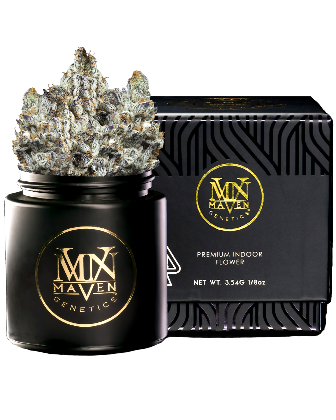 A black open jar of Maven Genetics cannabis flower next to a black box with golden lettering and design, indicating premium indoor cannabis flower, weighing 3.5 grams or 1/8 ounce.