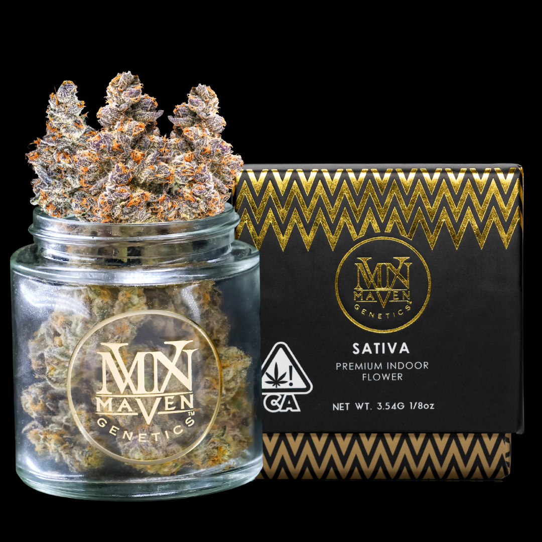 Jar and box of MAVEN Genetics Sativa indoor cannabis flower with purple and orange hues.