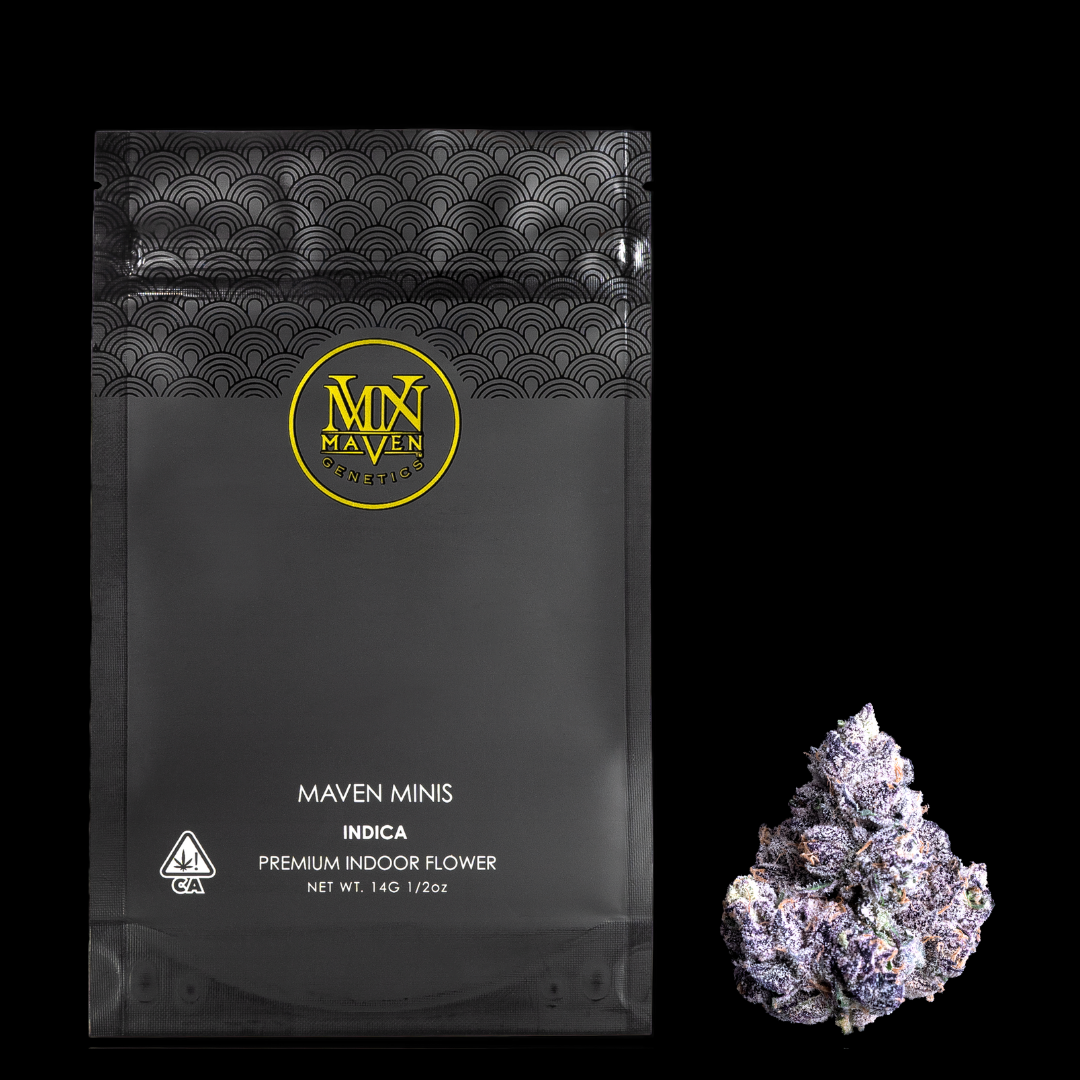 Package of Maven Minis indoor cannabis buds next to a cluster of purple cannabis flowers on a black background.