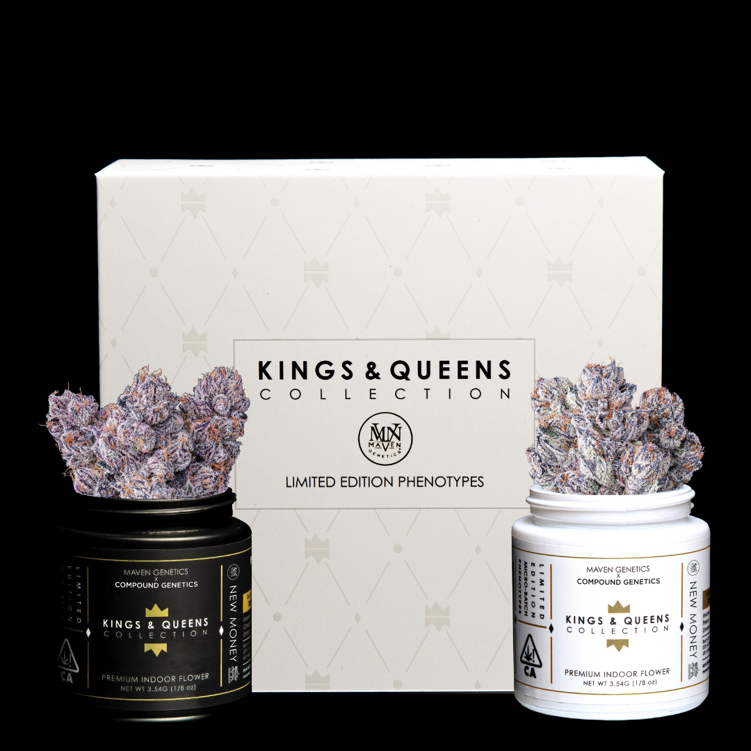 Two jars of Kings & Queens Collection indoor cannabis buds, one black and one white, with a white box in the background labeled Kings & Queens Collection with limited edition phenotypes, from Maven Genetics.